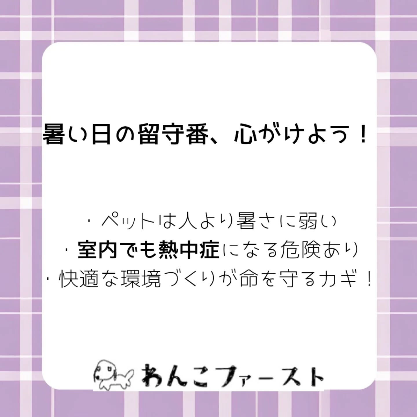 横浜市青葉区のペットシッターわんこファーストです♪