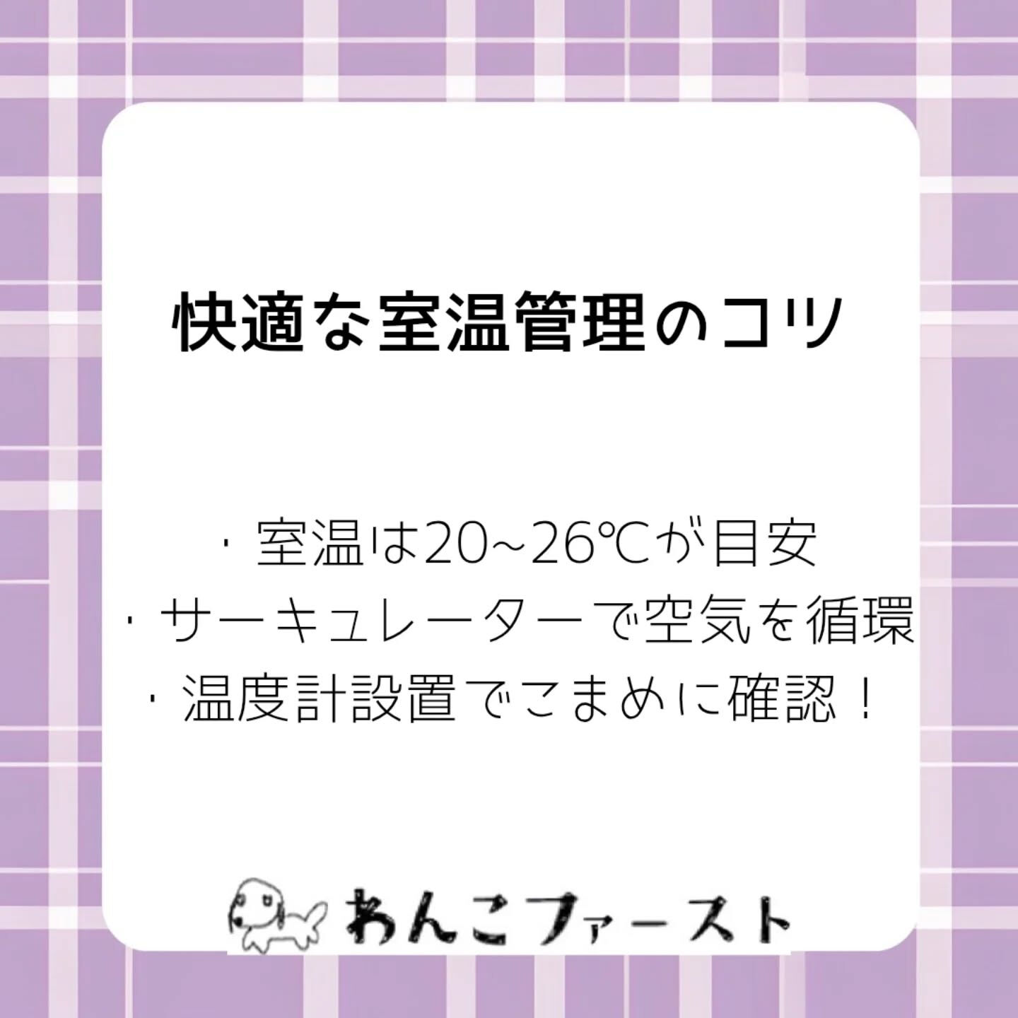 横浜市青葉区のペットシッターわんこファーストです♪