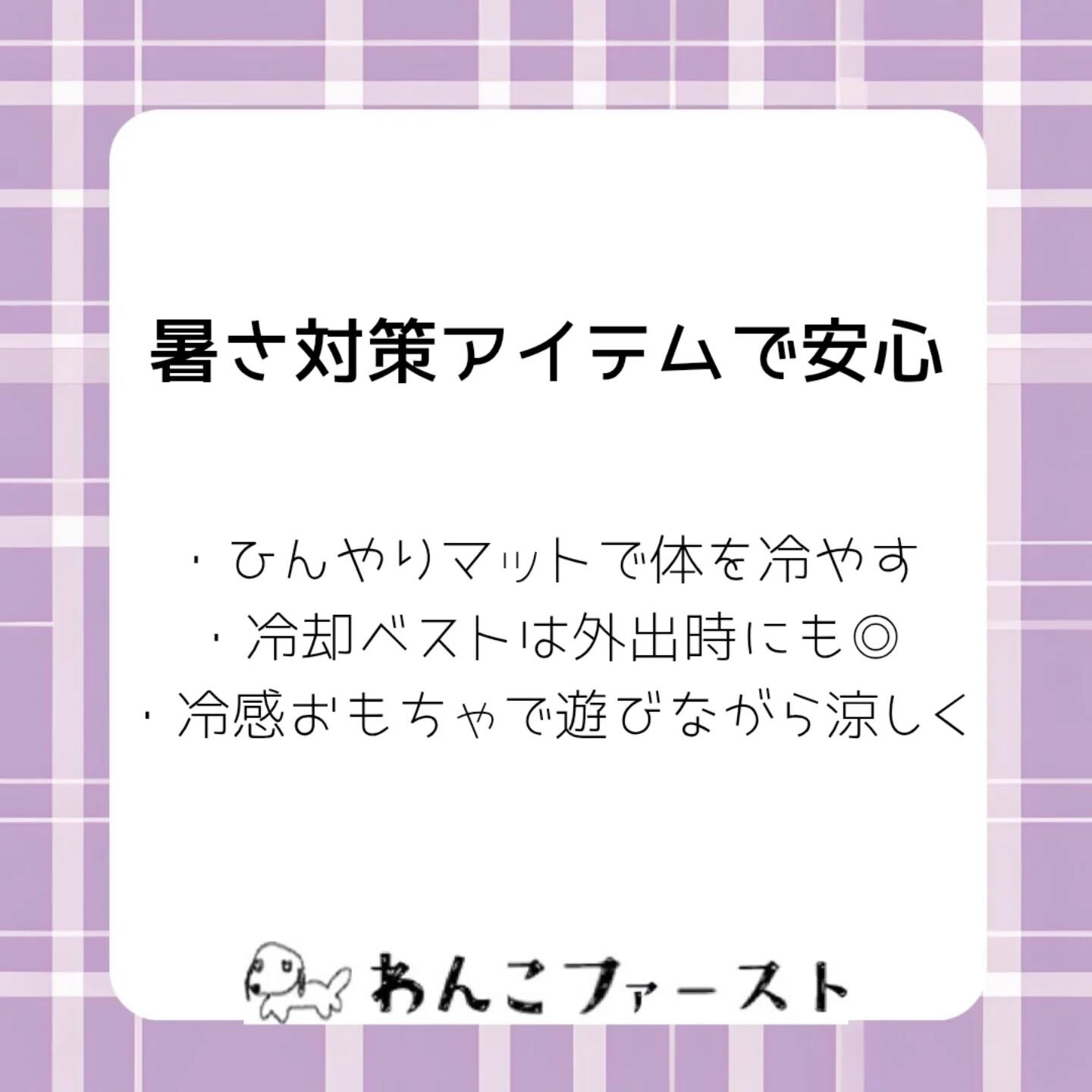 横浜市青葉区のペットシッターわんこファーストです♪