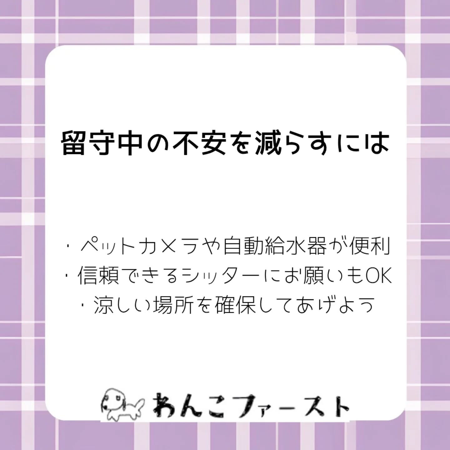 横浜市青葉区のペットシッターわんこファーストです♪