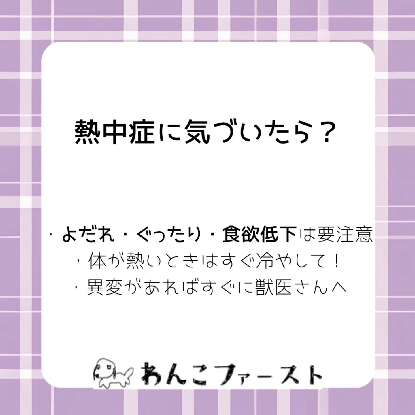 横浜市青葉区のペットシッターわんこファーストです♪
