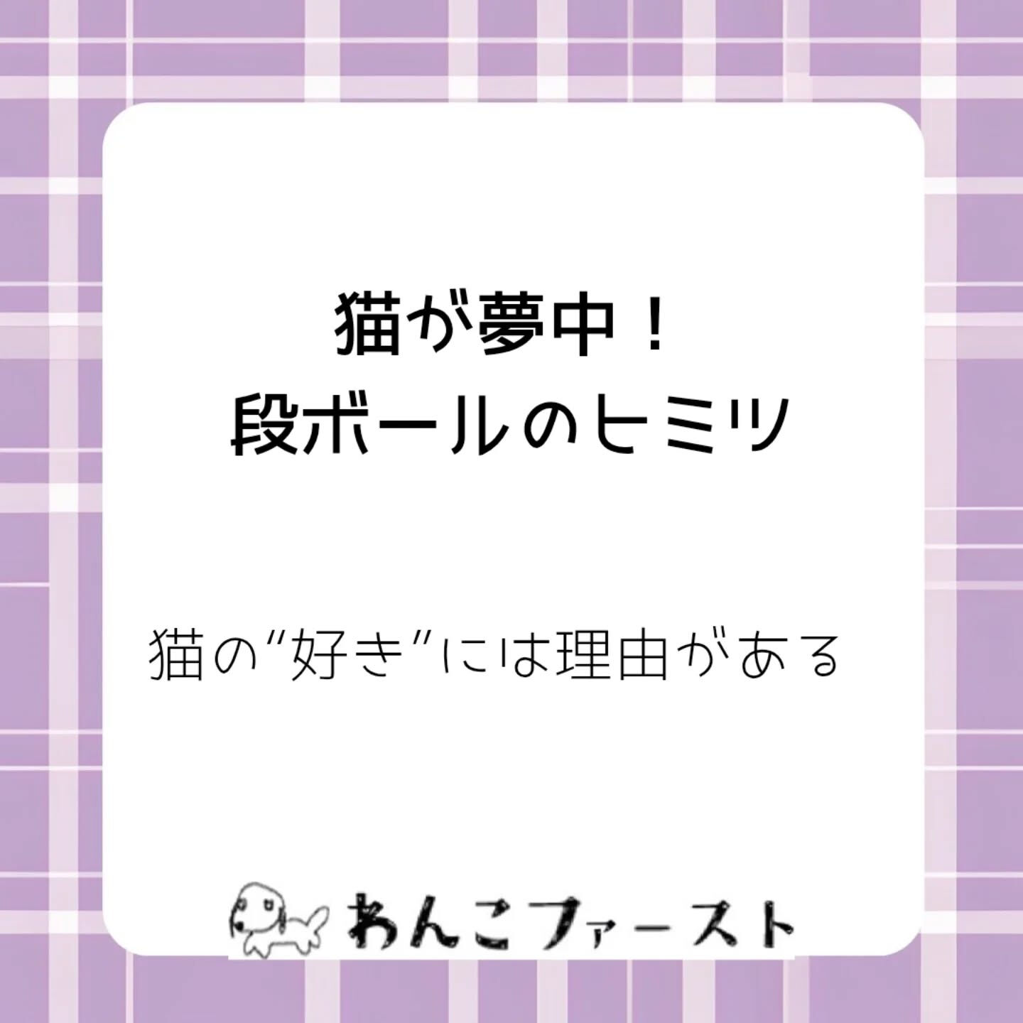 横浜市青葉区のペットシッターわんこファーストです♪