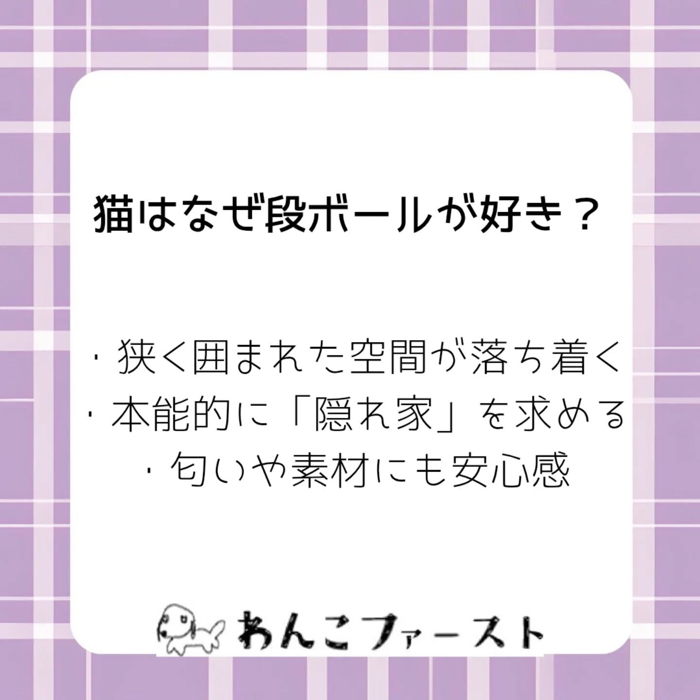 横浜市青葉区のペットシッターわんこファーストです♪