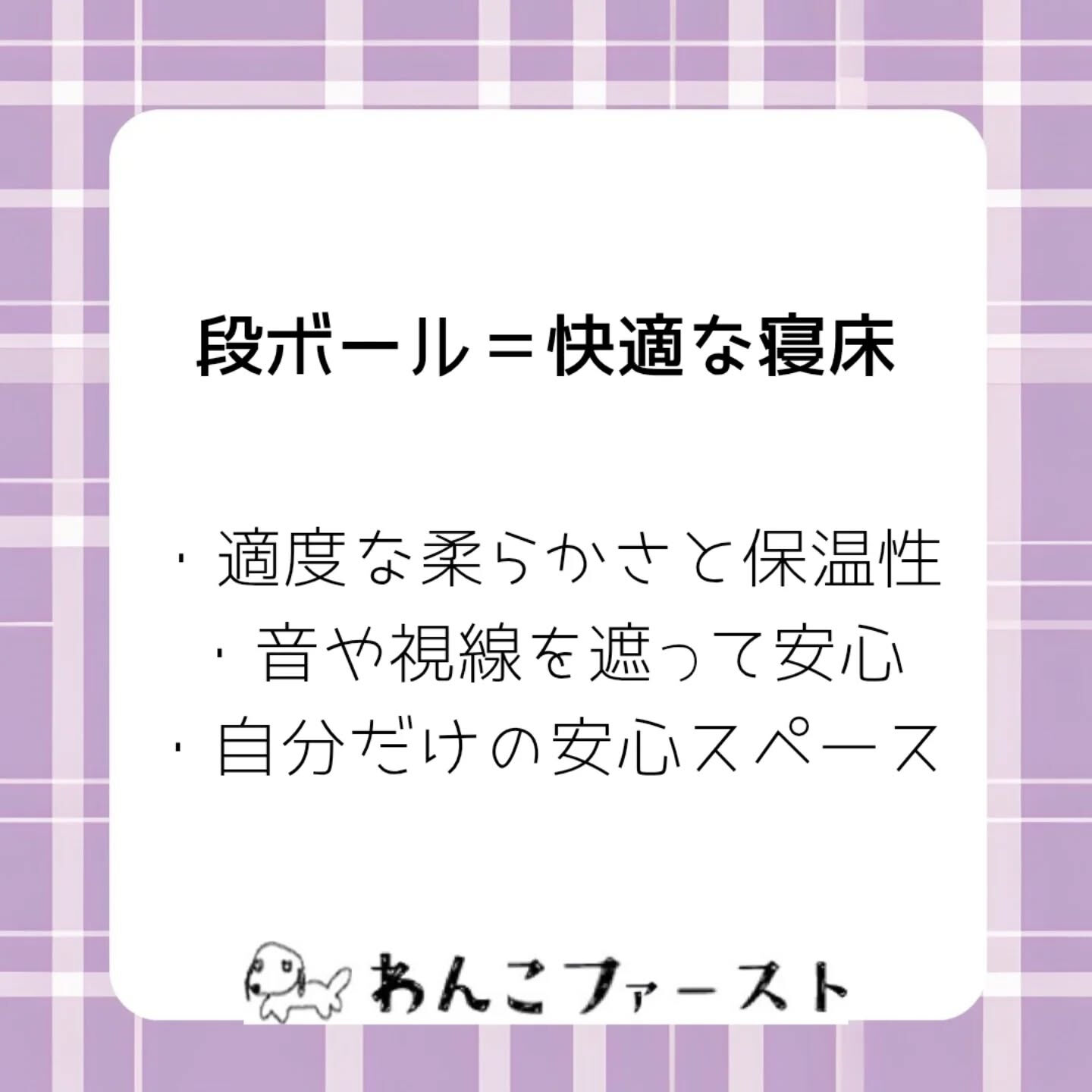 横浜市青葉区のペットシッターわんこファーストです♪