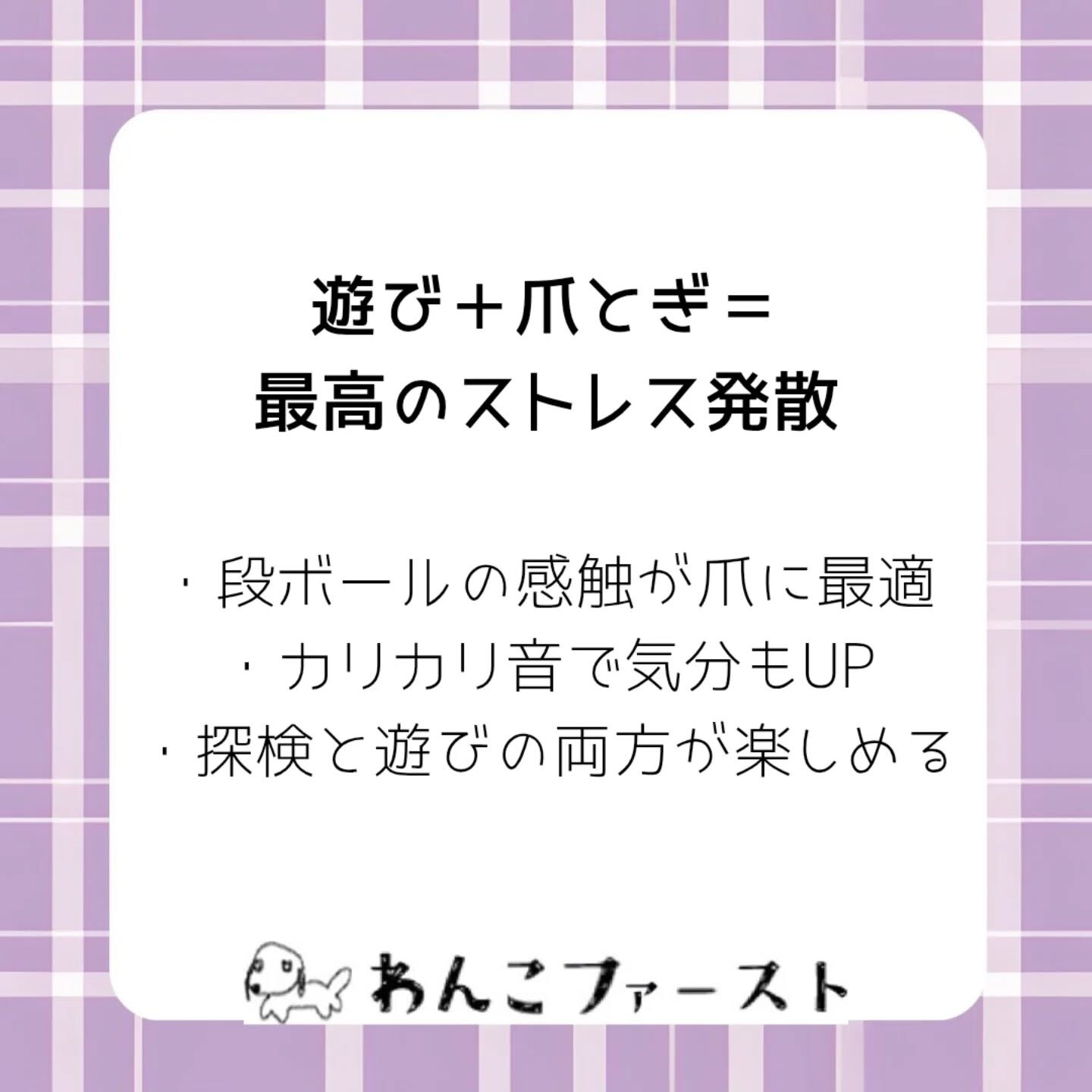 横浜市青葉区のペットシッターわんこファーストです♪