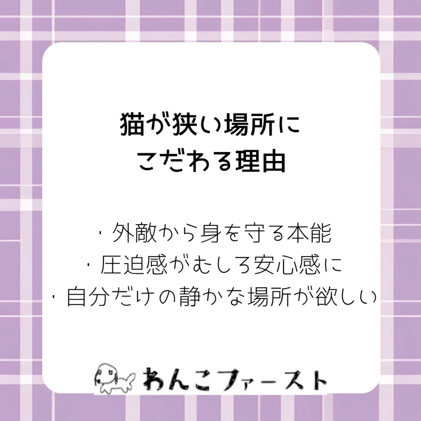 横浜市青葉区のペットシッターわんこファーストです♪