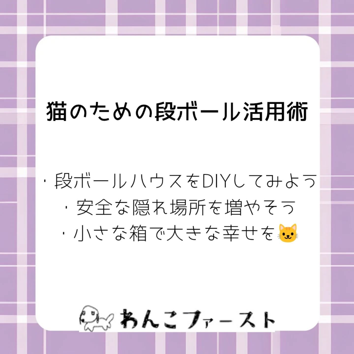 横浜市青葉区のペットシッターわんこファーストです♪