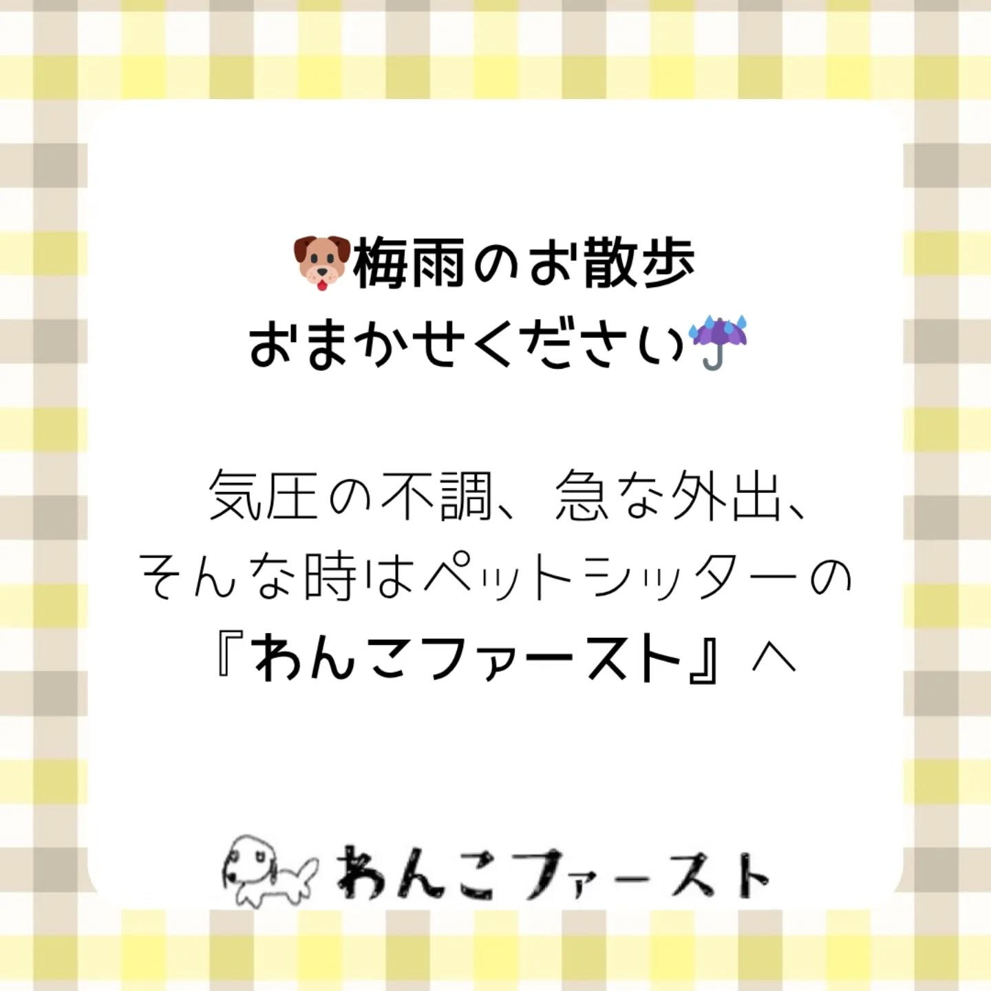 横浜市青葉区のペットシッターわんこファーストです♪