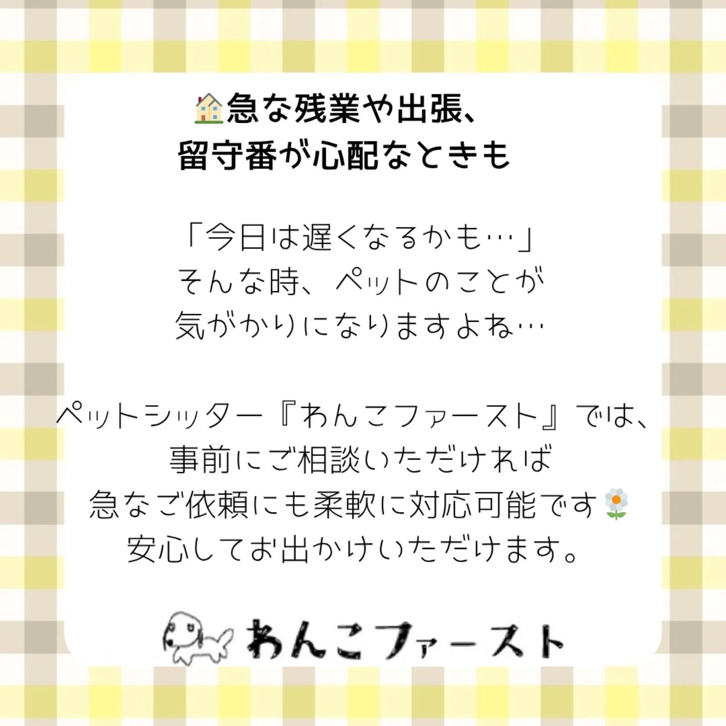 横浜市青葉区のペットシッターわんこファーストです♪