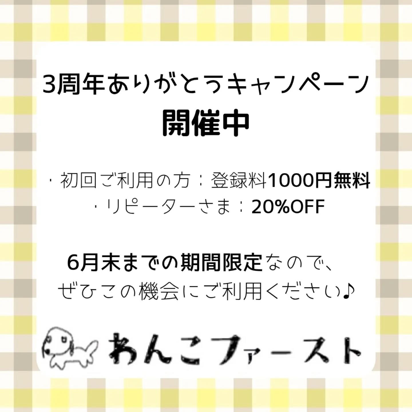 横浜市青葉区のペットシッターわんこファーストです♪