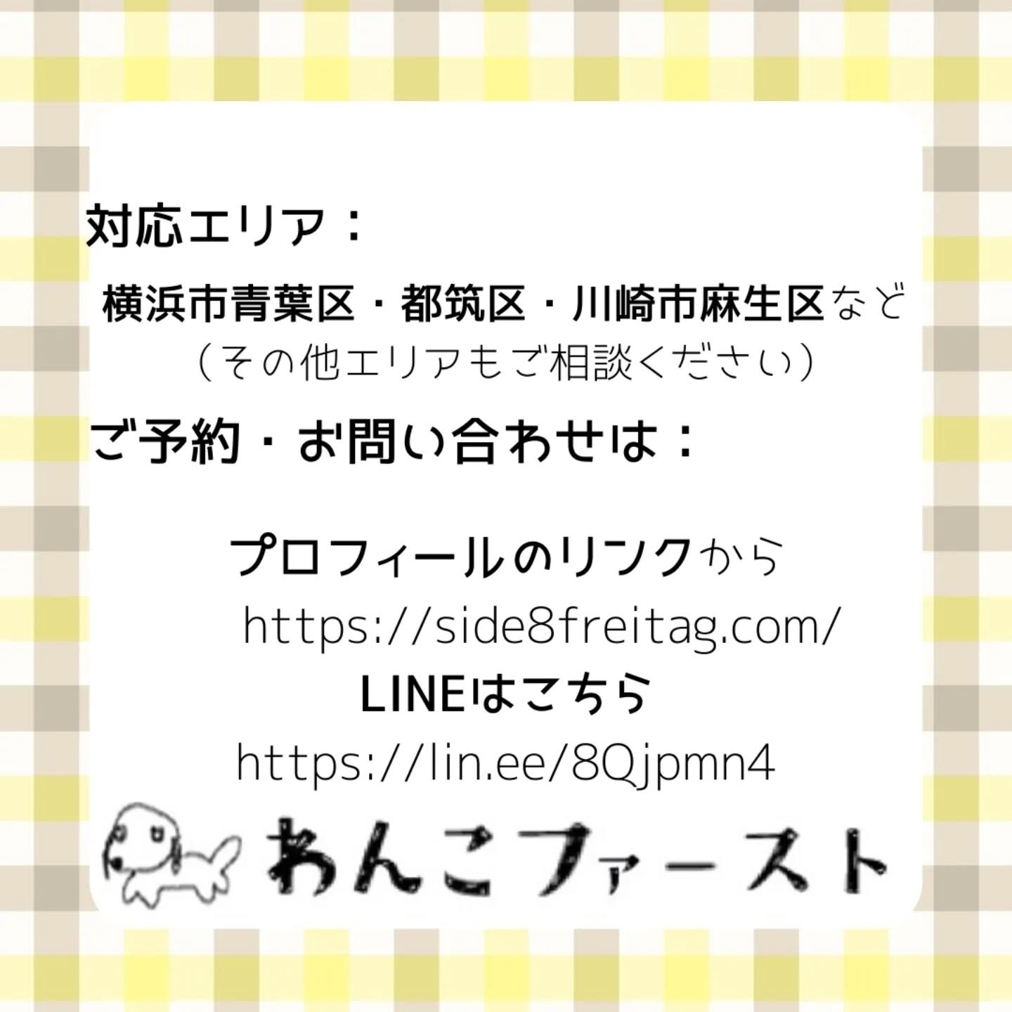 横浜市青葉区のペットシッターわんこファーストです♪