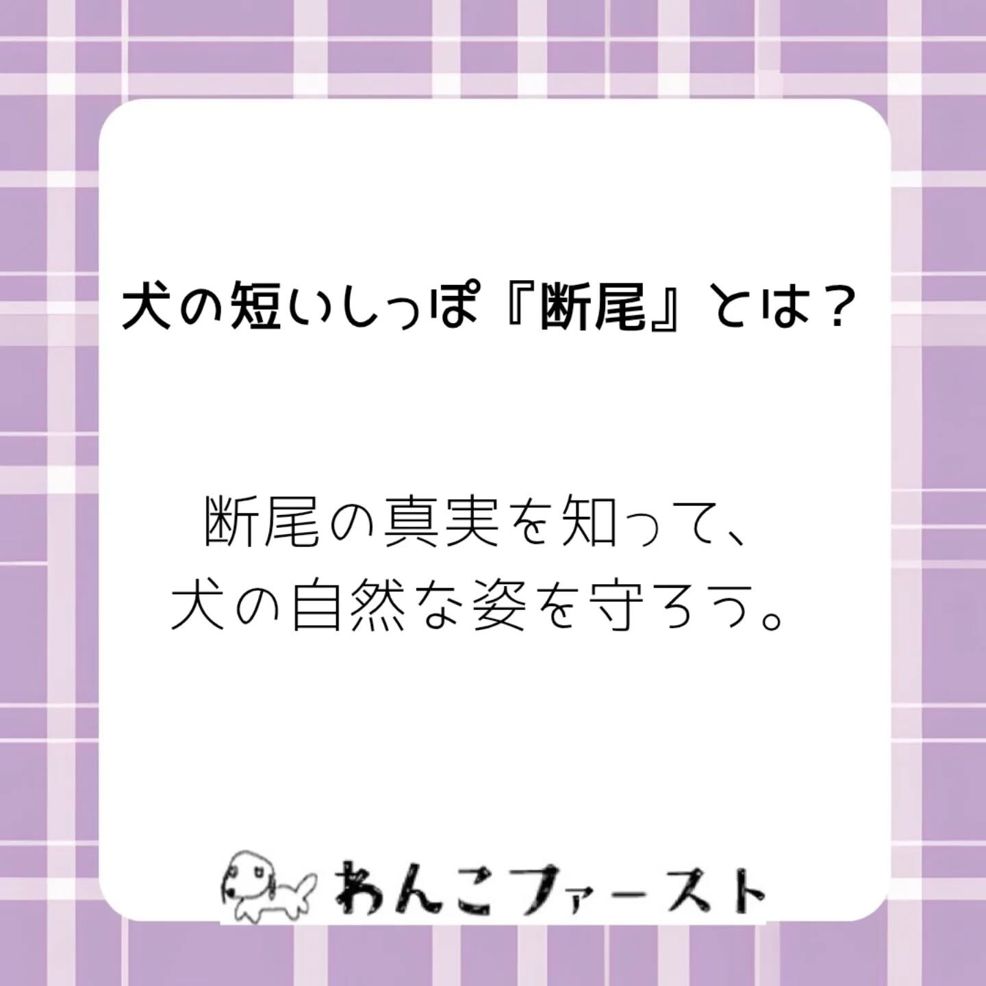 横浜市青葉区のペットシッターわんこファーストです♪