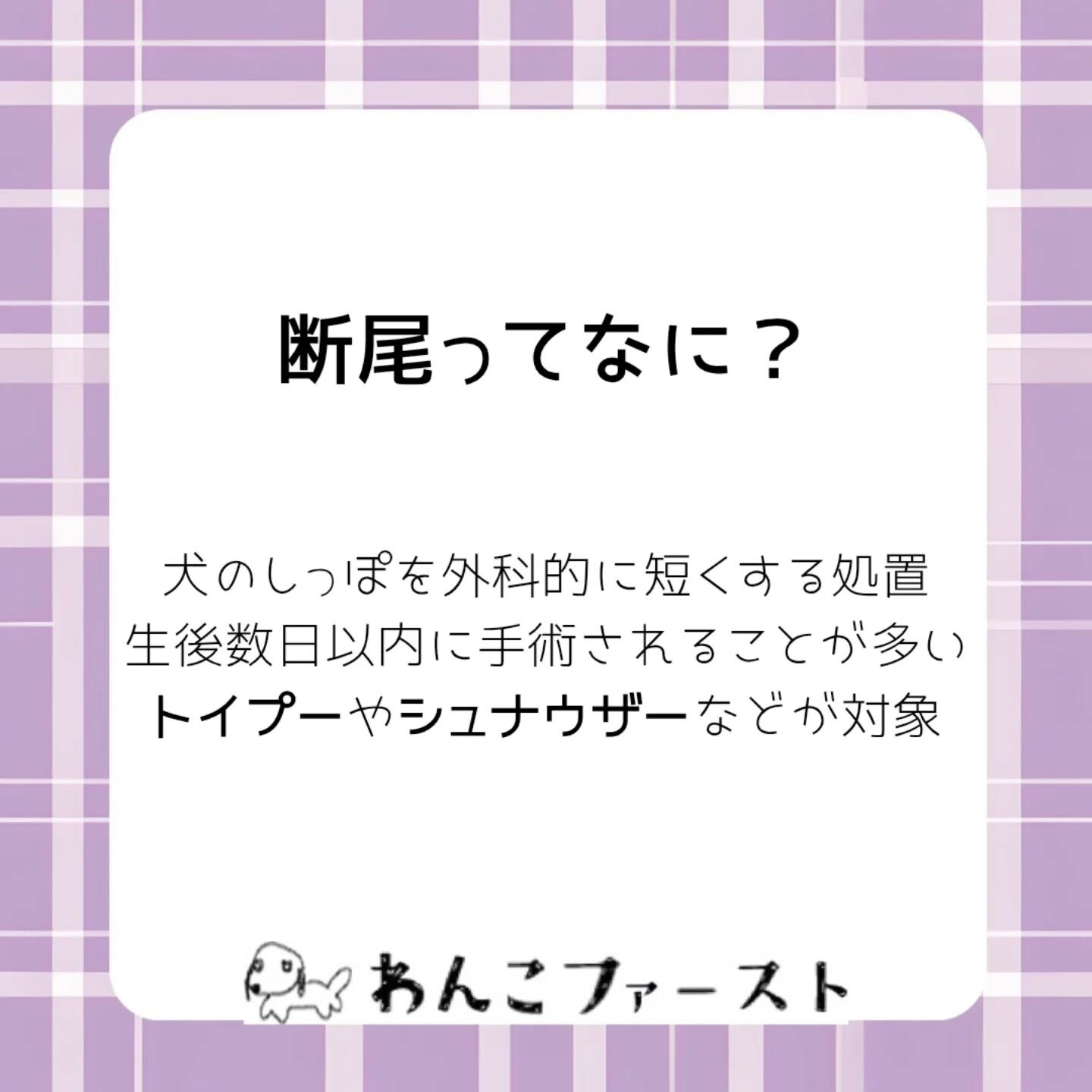 横浜市青葉区のペットシッターわんこファーストです♪