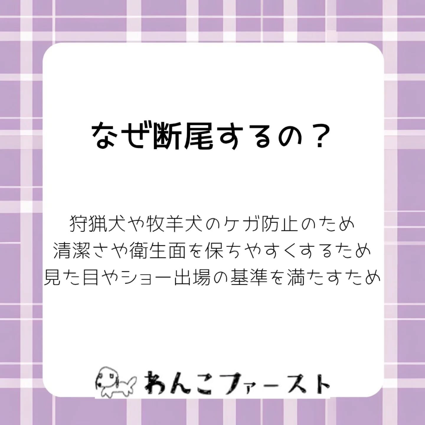 横浜市青葉区のペットシッターわんこファーストです♪