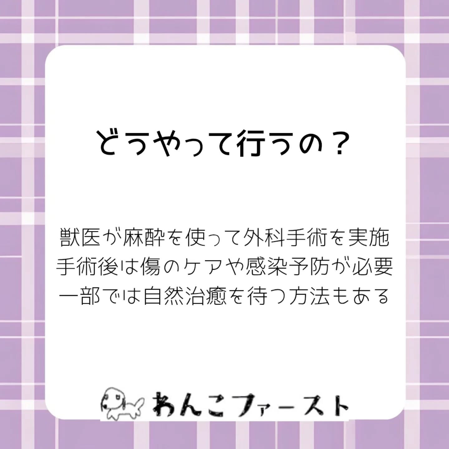 横浜市青葉区のペットシッターわんこファーストです♪