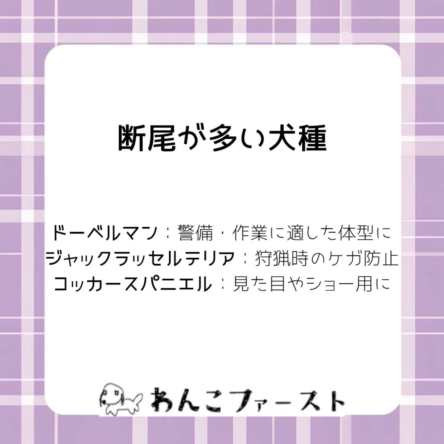 横浜市青葉区のペットシッターわんこファーストです♪