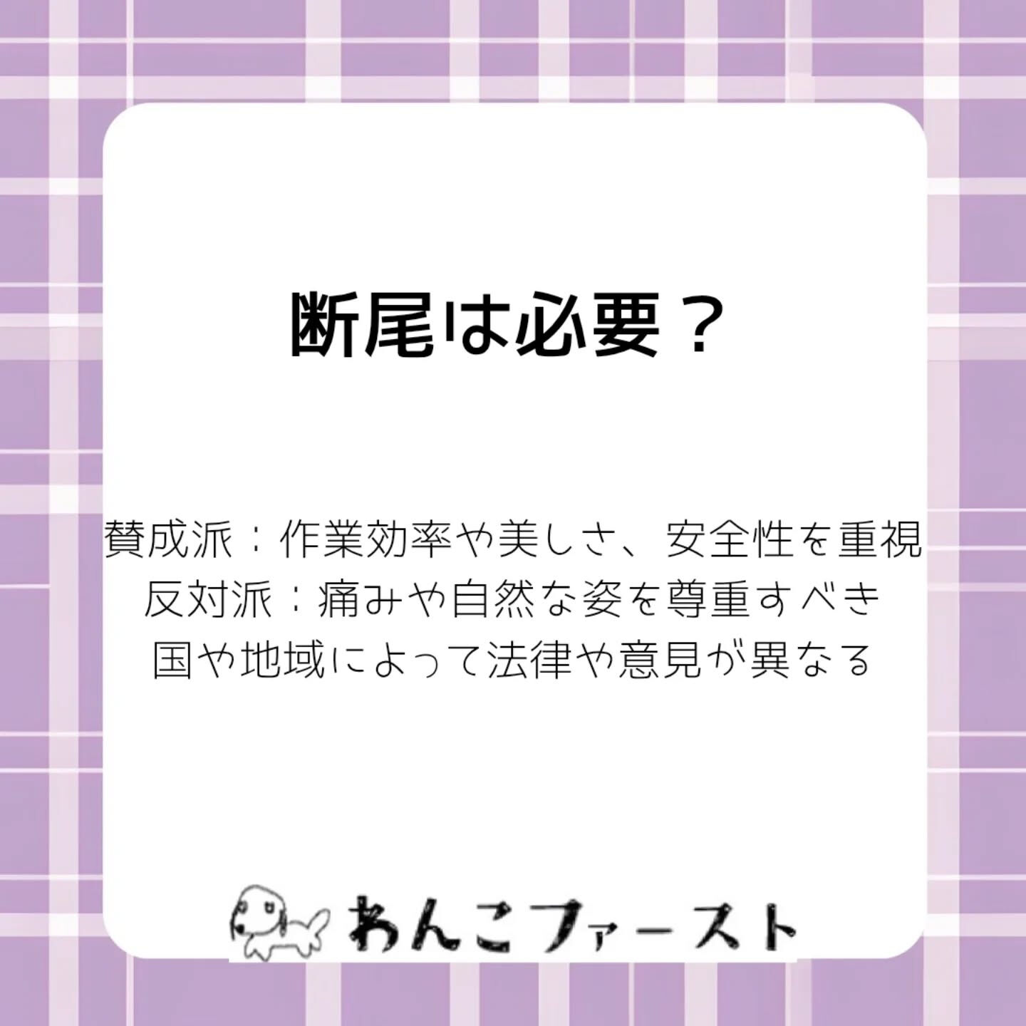 横浜市青葉区のペットシッターわんこファーストです♪