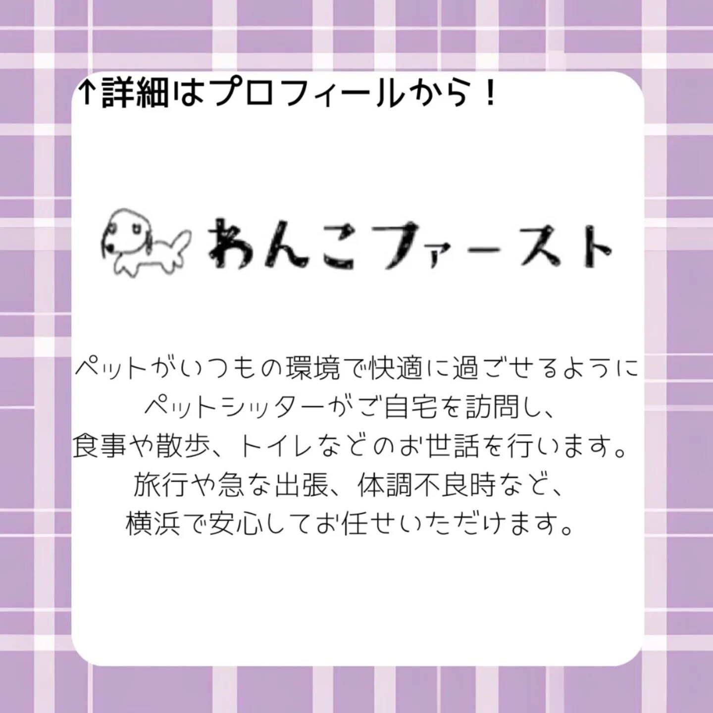 横浜市青葉区のペットシッターわんこファーストです♪