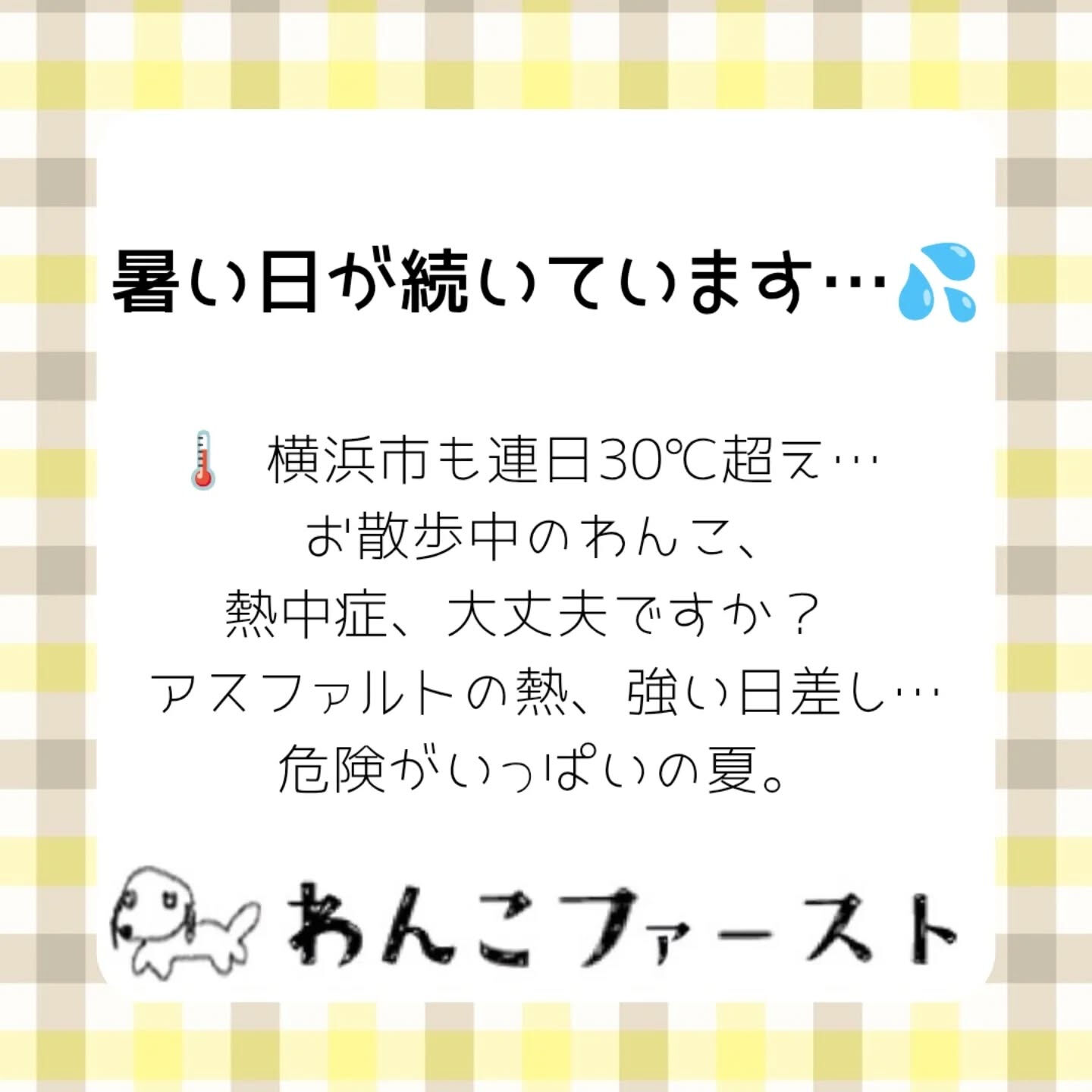 横浜市青葉区のペットシッターわんこファーストです♪
