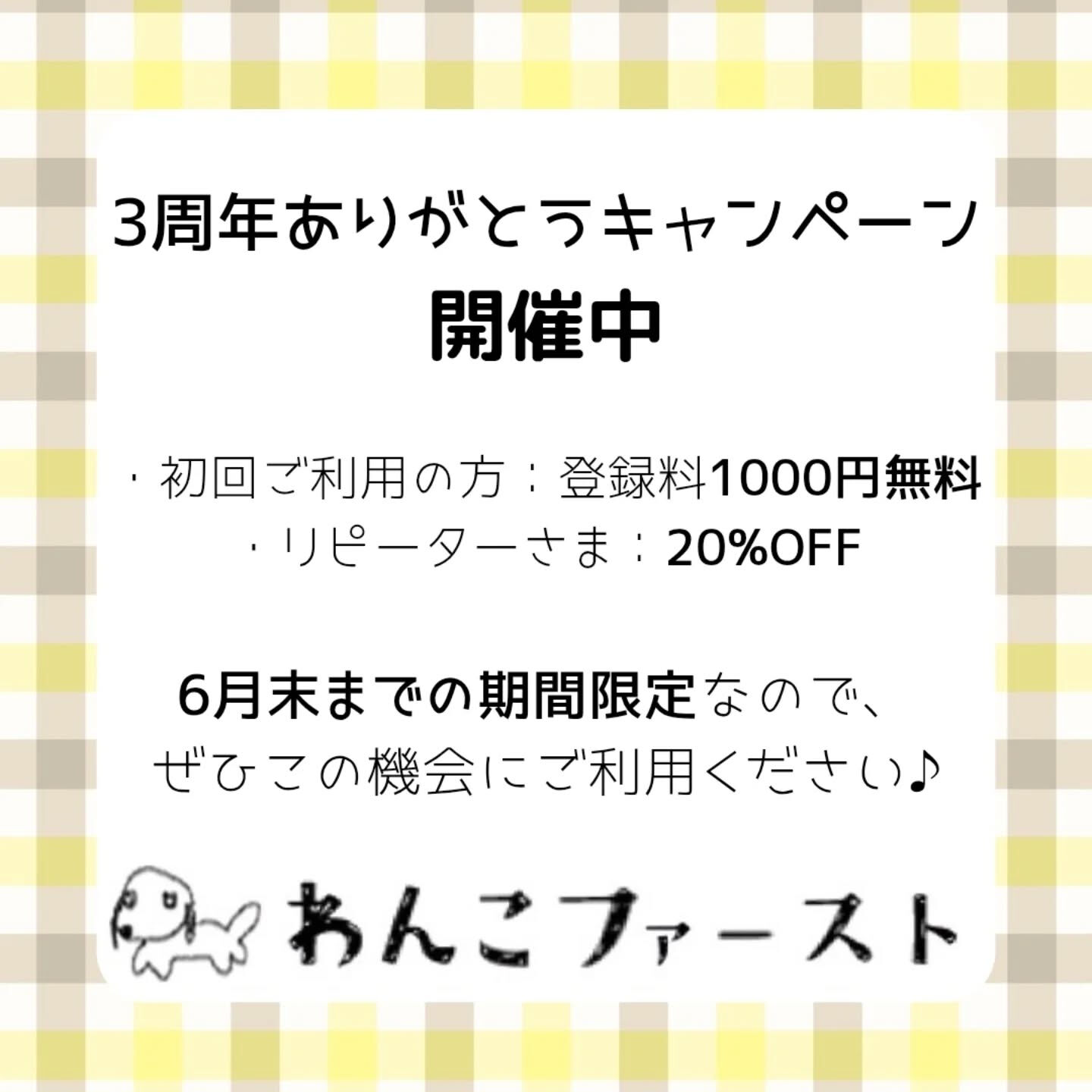 横浜市青葉区のペットシッターわんこファーストです♪