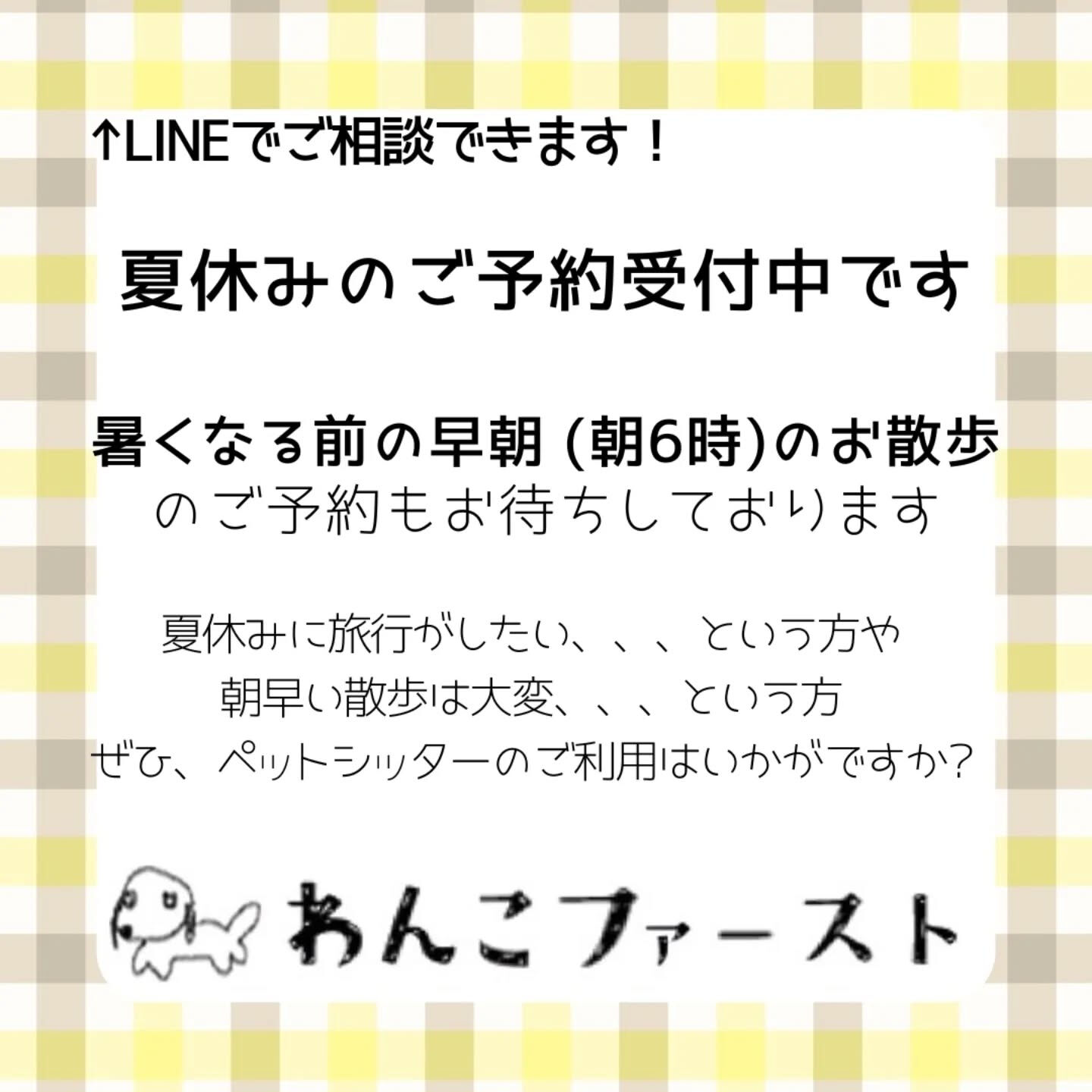横浜市青葉区のペットシッターわんこファーストです♪