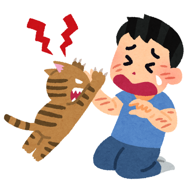 ブログ