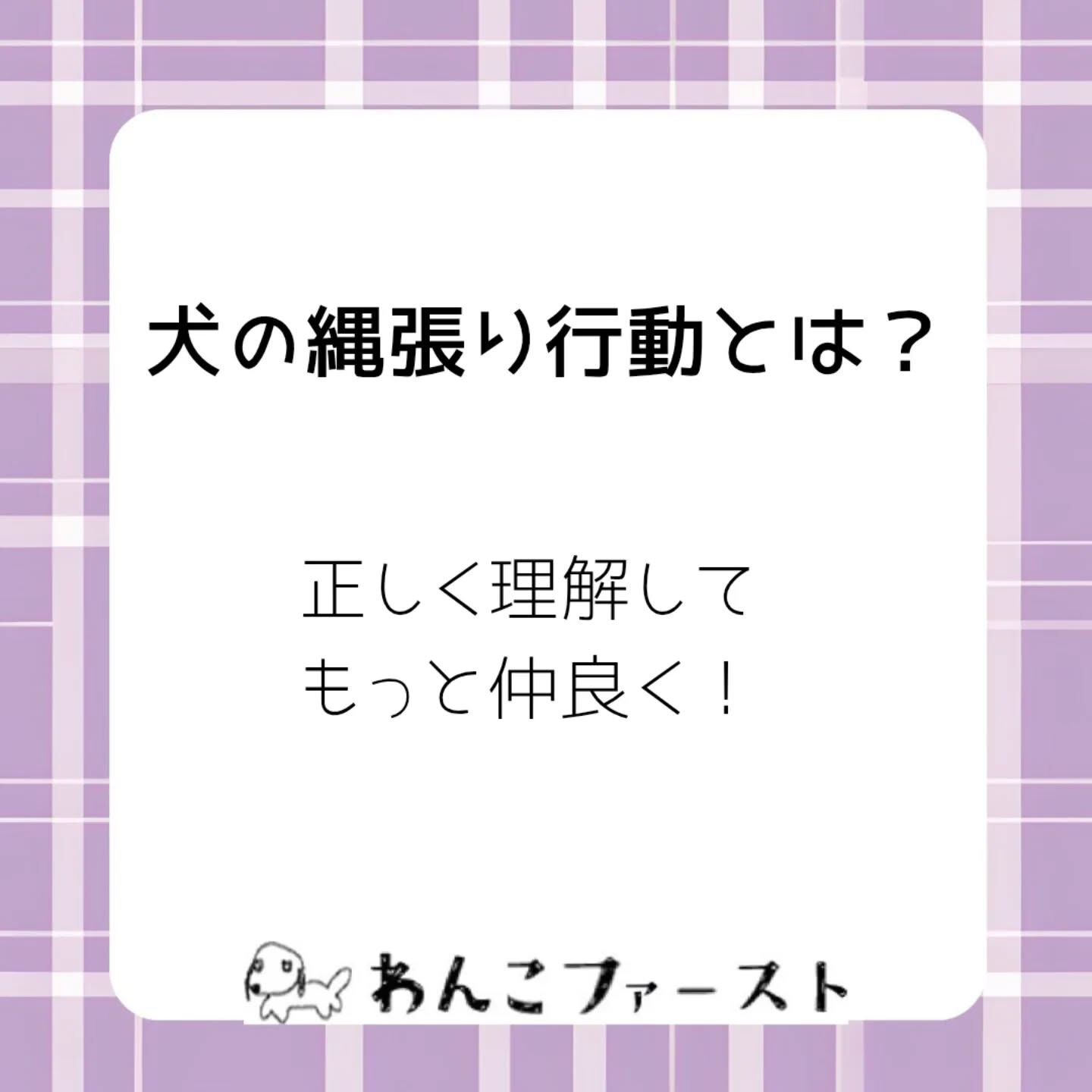 横浜市青葉区のペットシッターわんこファーストです♪