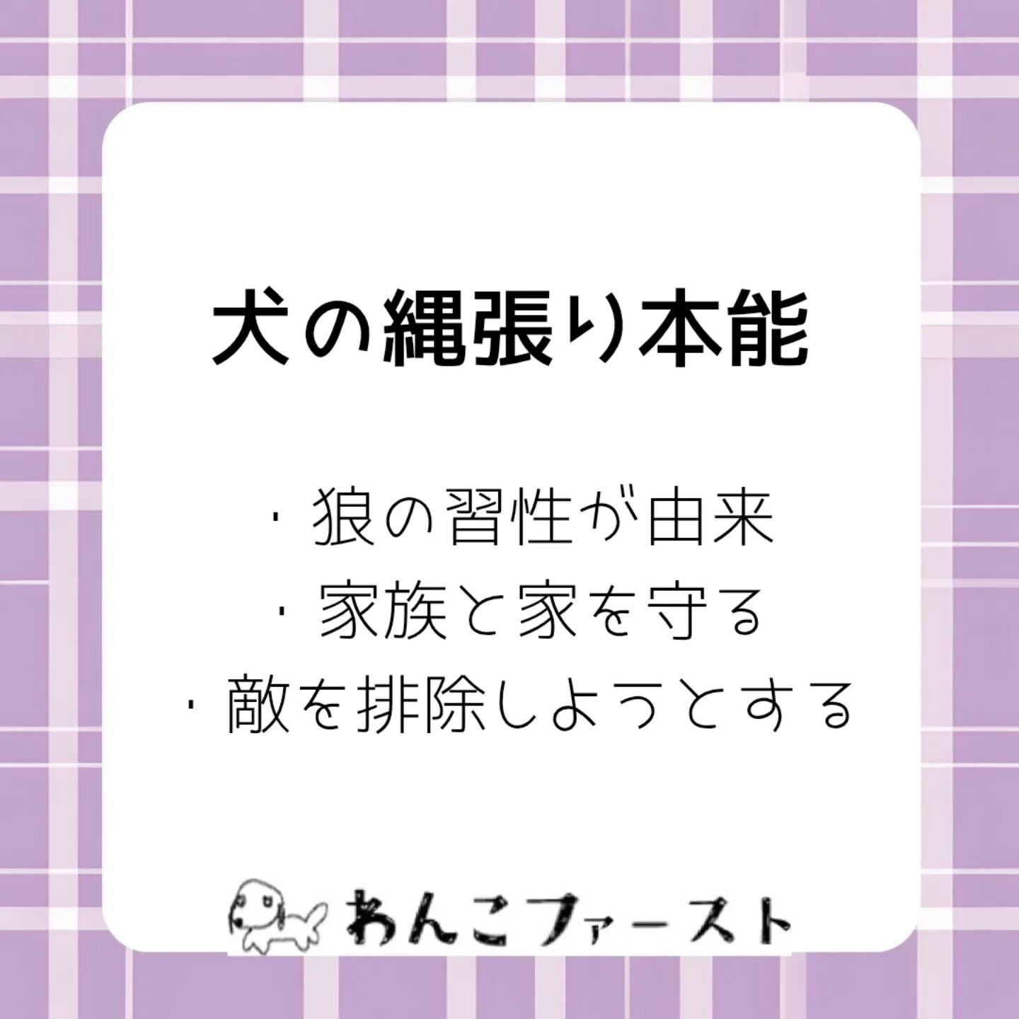 横浜市青葉区のペットシッターわんこファーストです♪