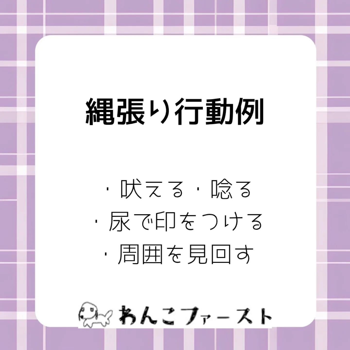 横浜市青葉区のペットシッターわんこファーストです♪