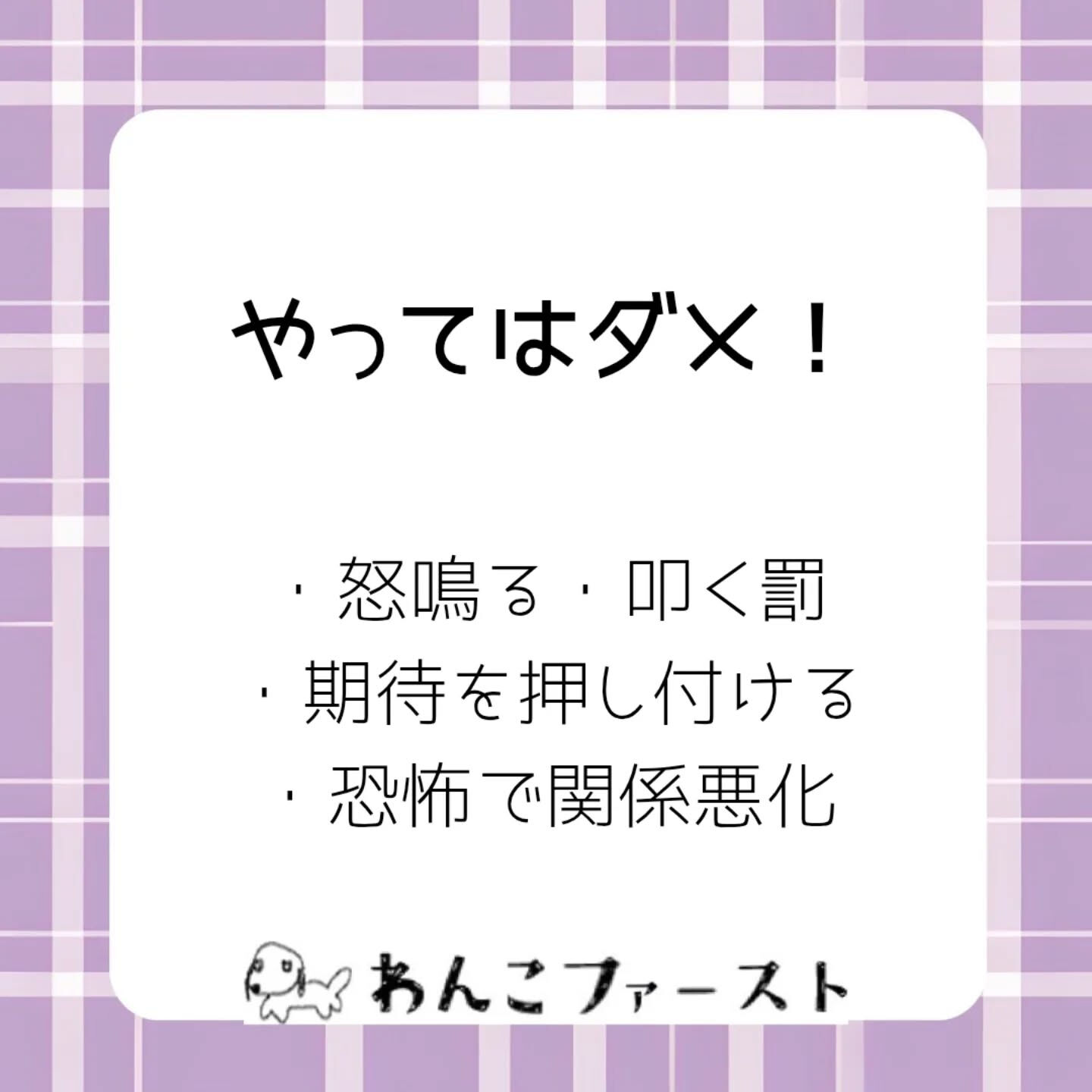 横浜市青葉区のペットシッターわんこファーストです♪
