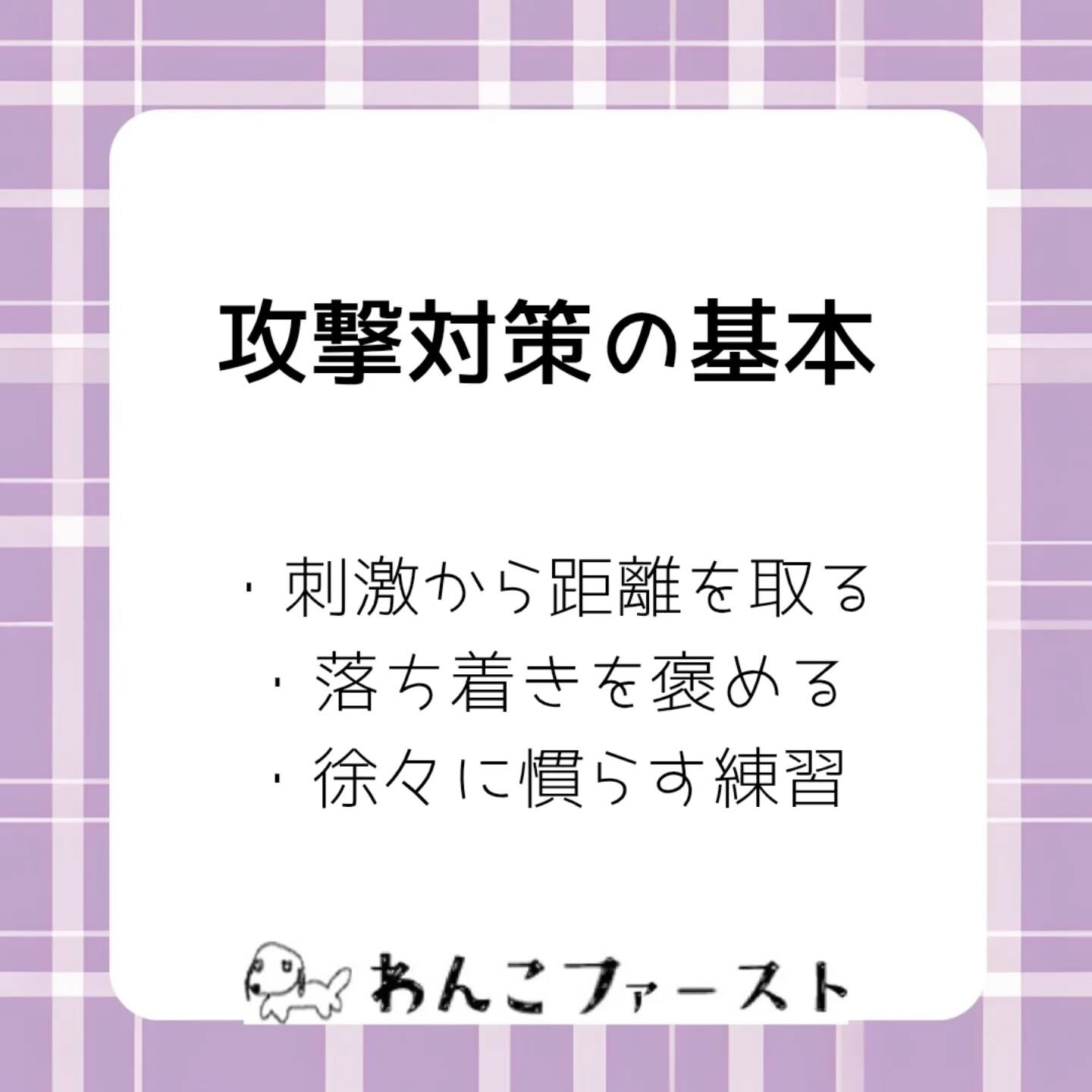 横浜市青葉区のペットシッターわんこファーストです♪