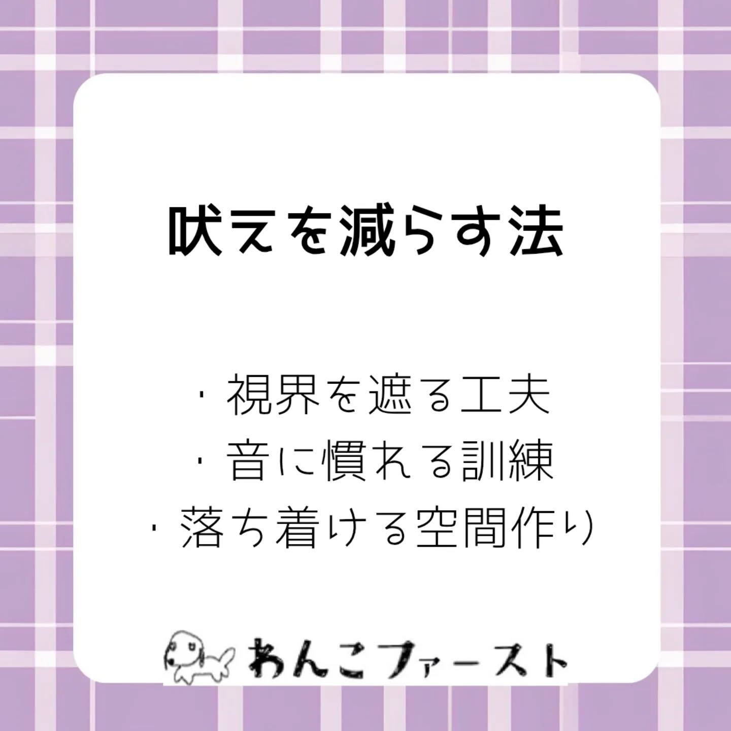 横浜市青葉区のペットシッターわんこファーストです♪