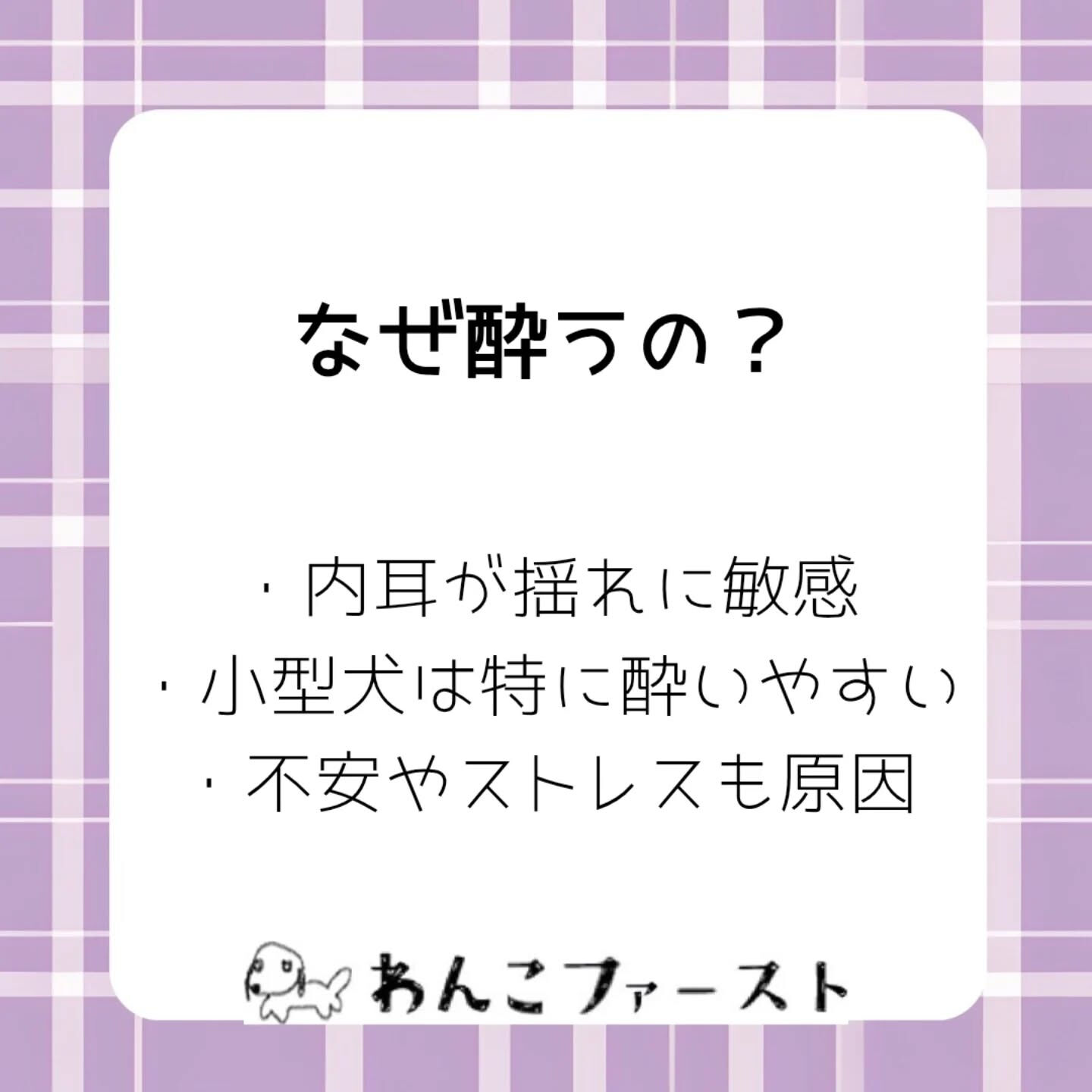 横浜市青葉区のペットシッターわんこファーストです♪