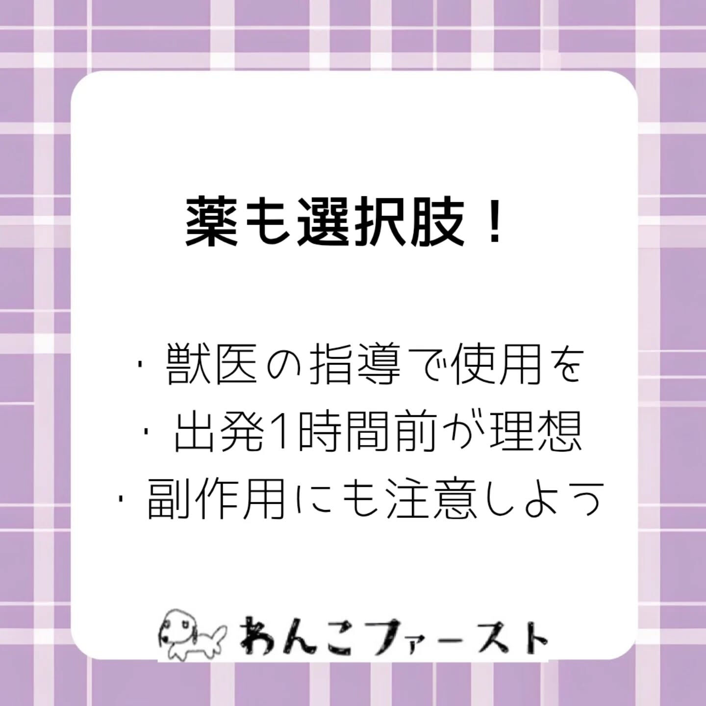 横浜市青葉区のペットシッターわんこファーストです♪