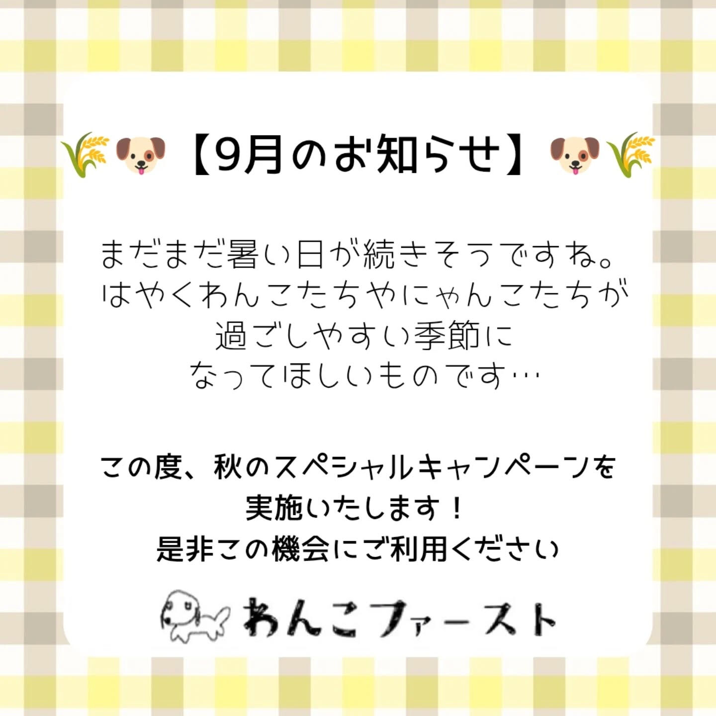 横浜市青葉区のペットシッターわんこファーストです♪