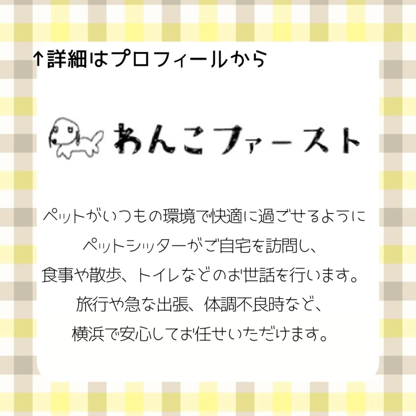 横浜市青葉区のペットシッターわんこファーストです♪