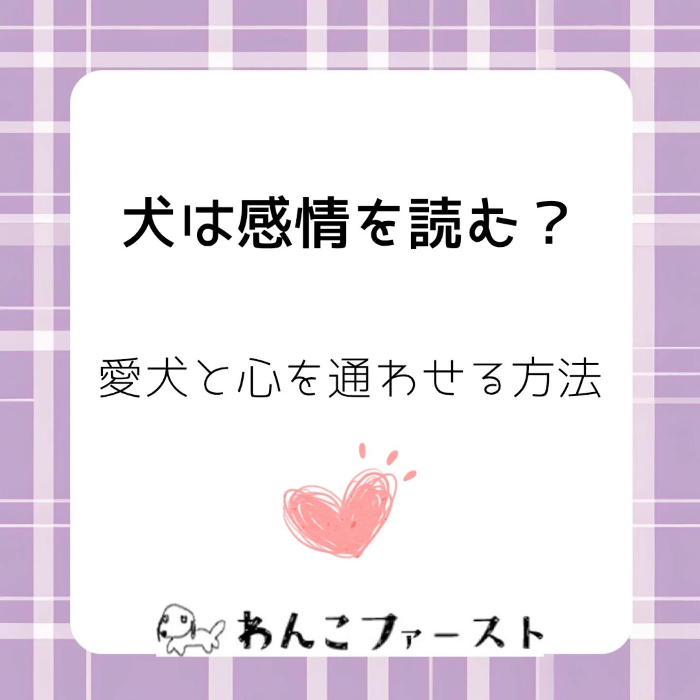 横浜市青葉区のペットシッターわんこファーストです♪