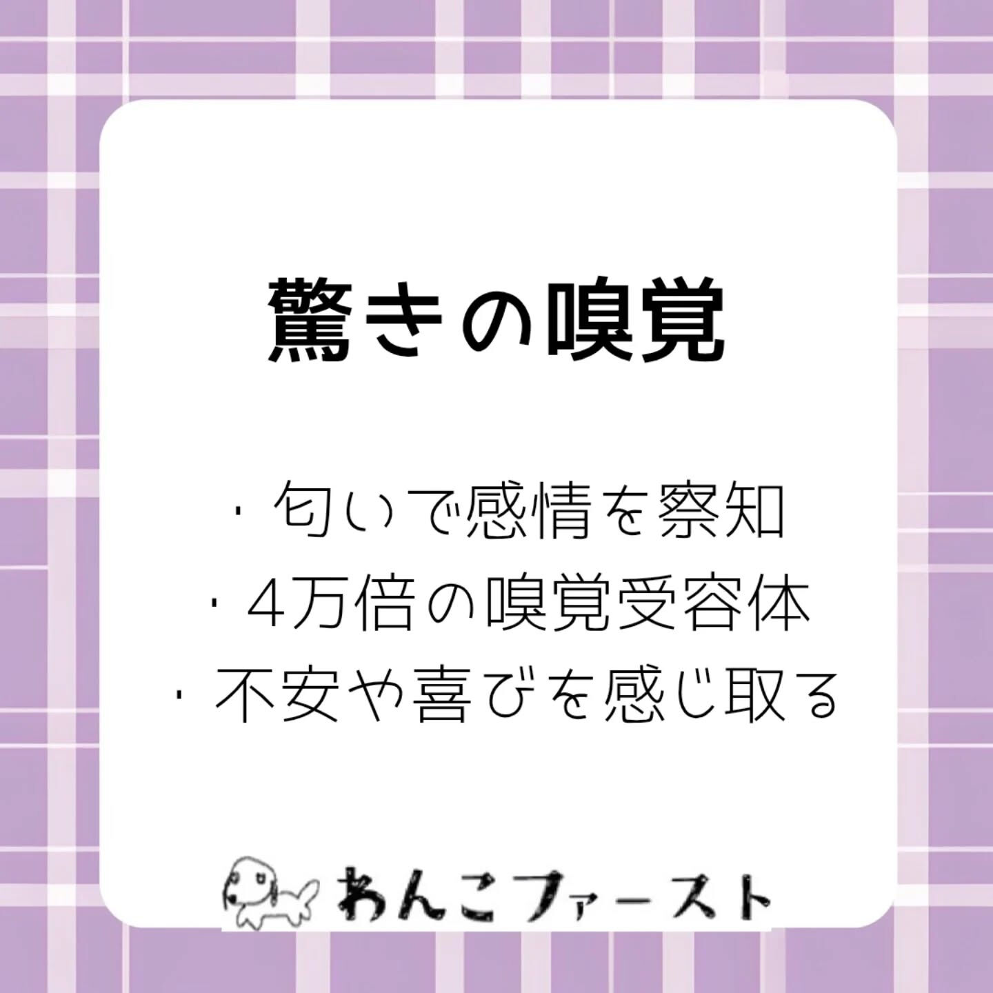 横浜市青葉区のペットシッターわんこファーストです♪