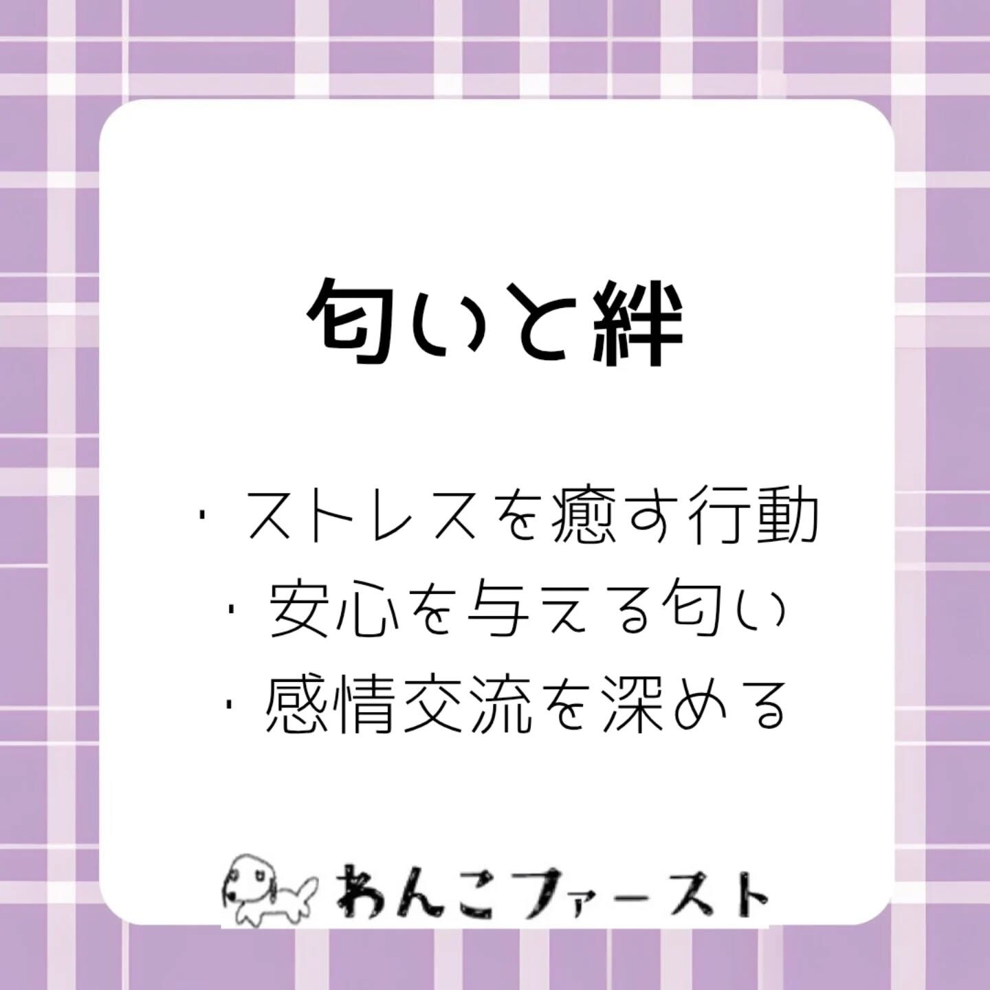 横浜市青葉区のペットシッターわんこファーストです♪