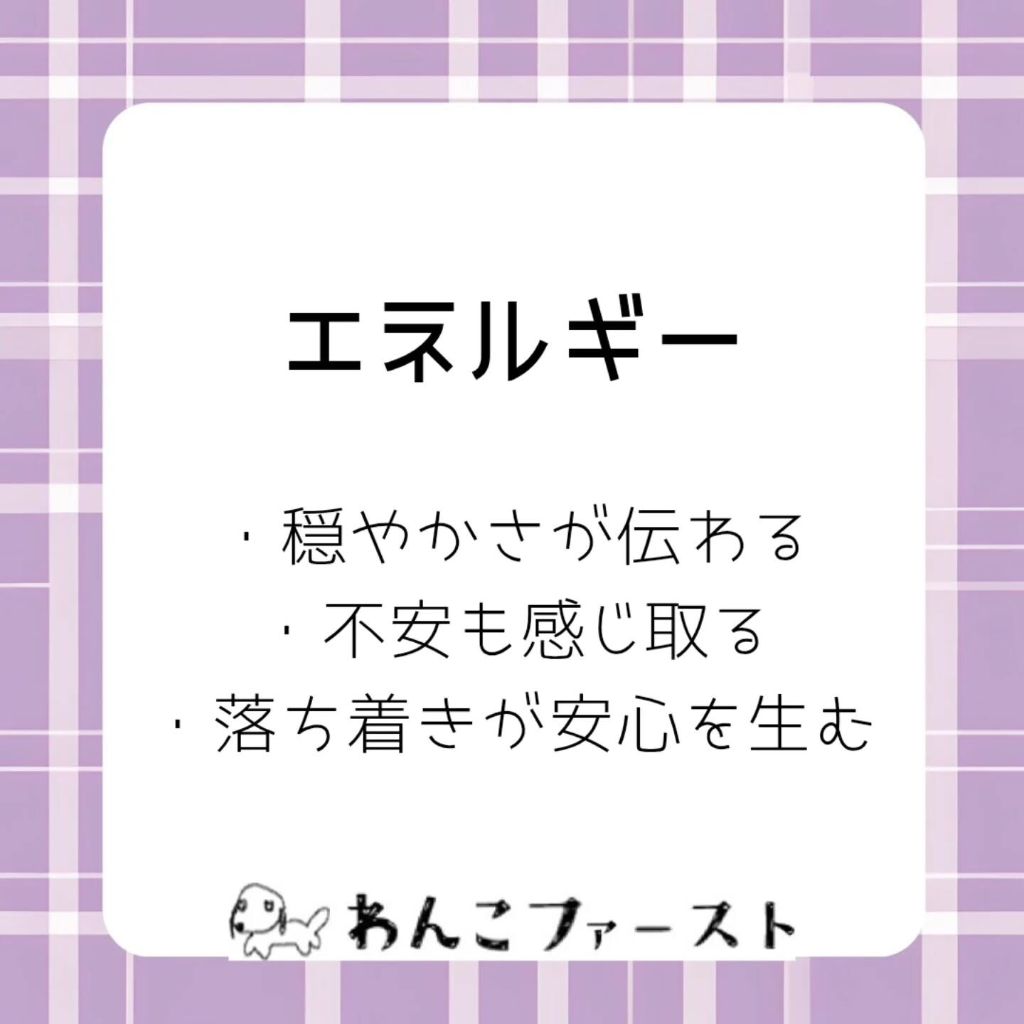 横浜市青葉区のペットシッターわんこファーストです♪
