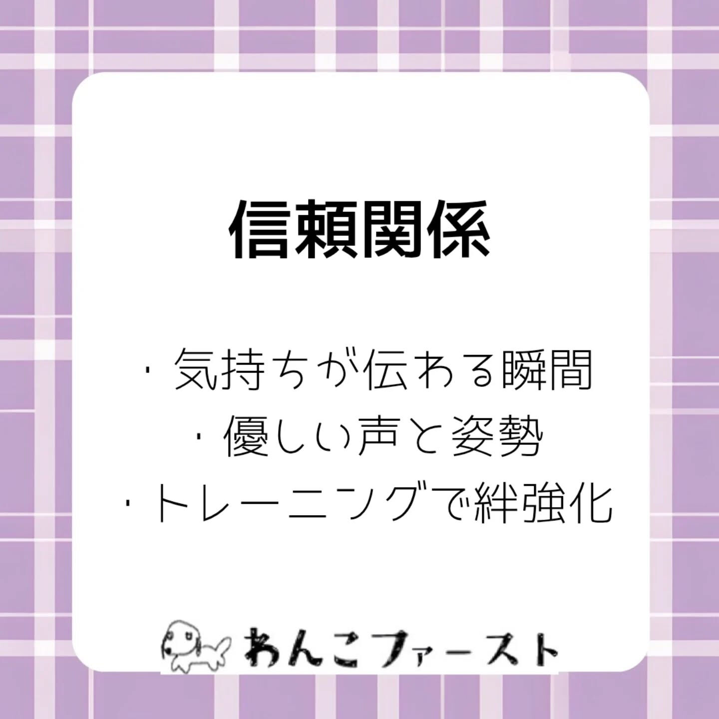 横浜市青葉区のペットシッターわんこファーストです♪