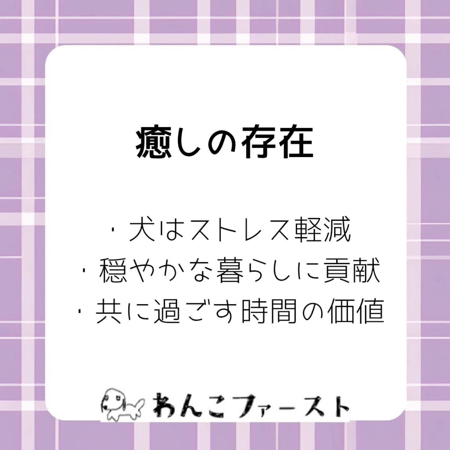 横浜市青葉区のペットシッターわんこファーストです♪
