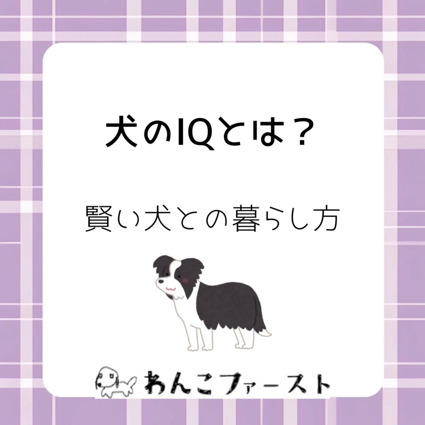 #横浜市青葉区ペットシッター