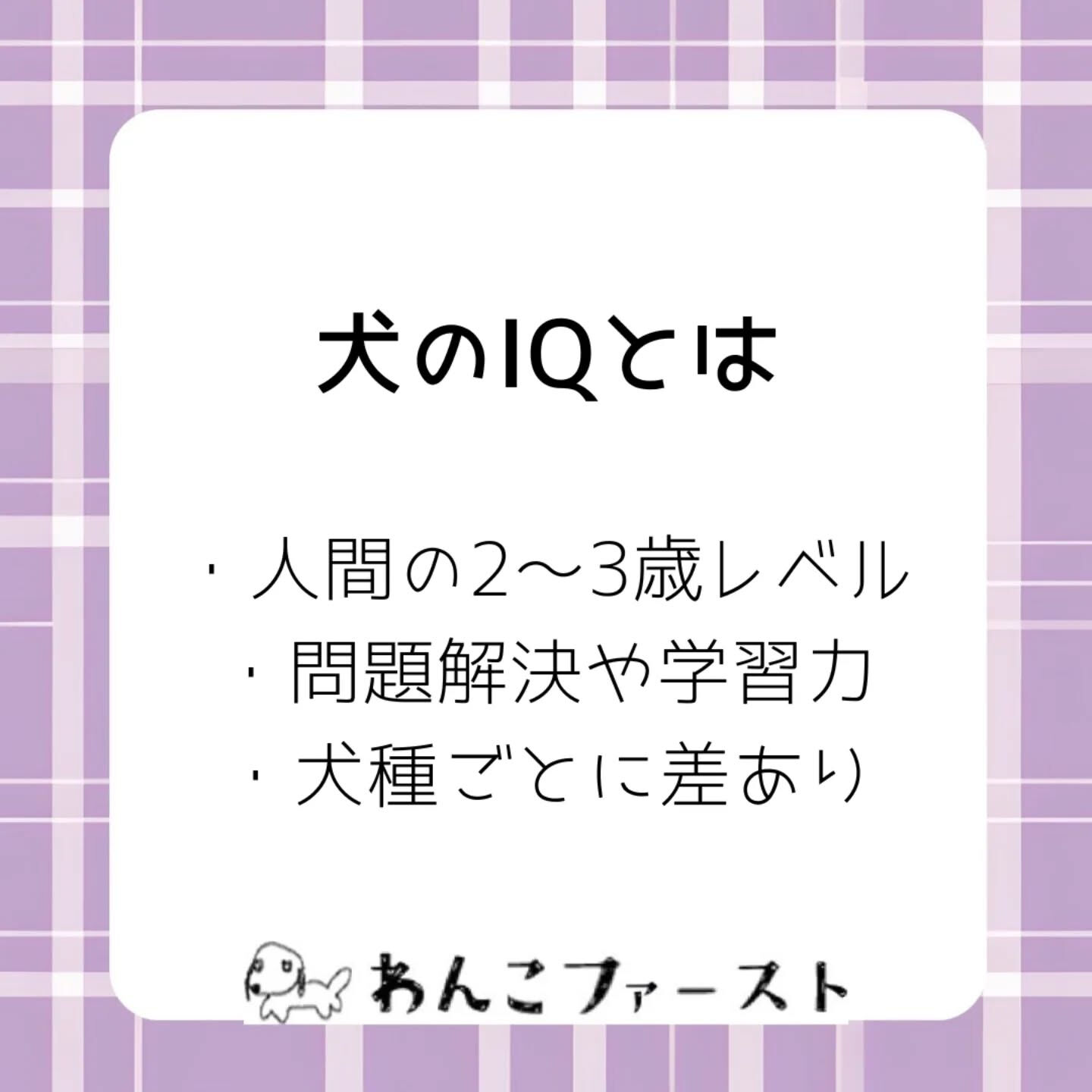#横浜市青葉区ペットシッター