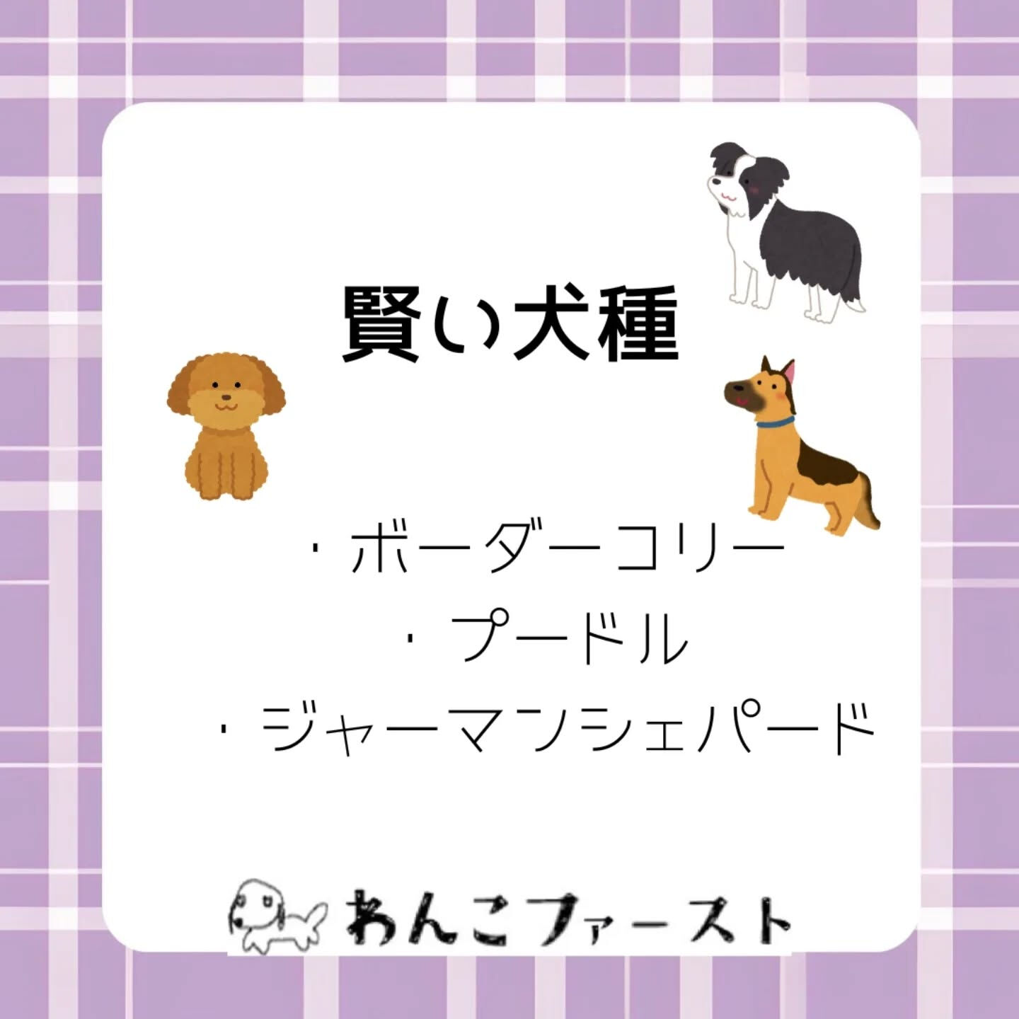 #横浜市青葉区ペットシッター