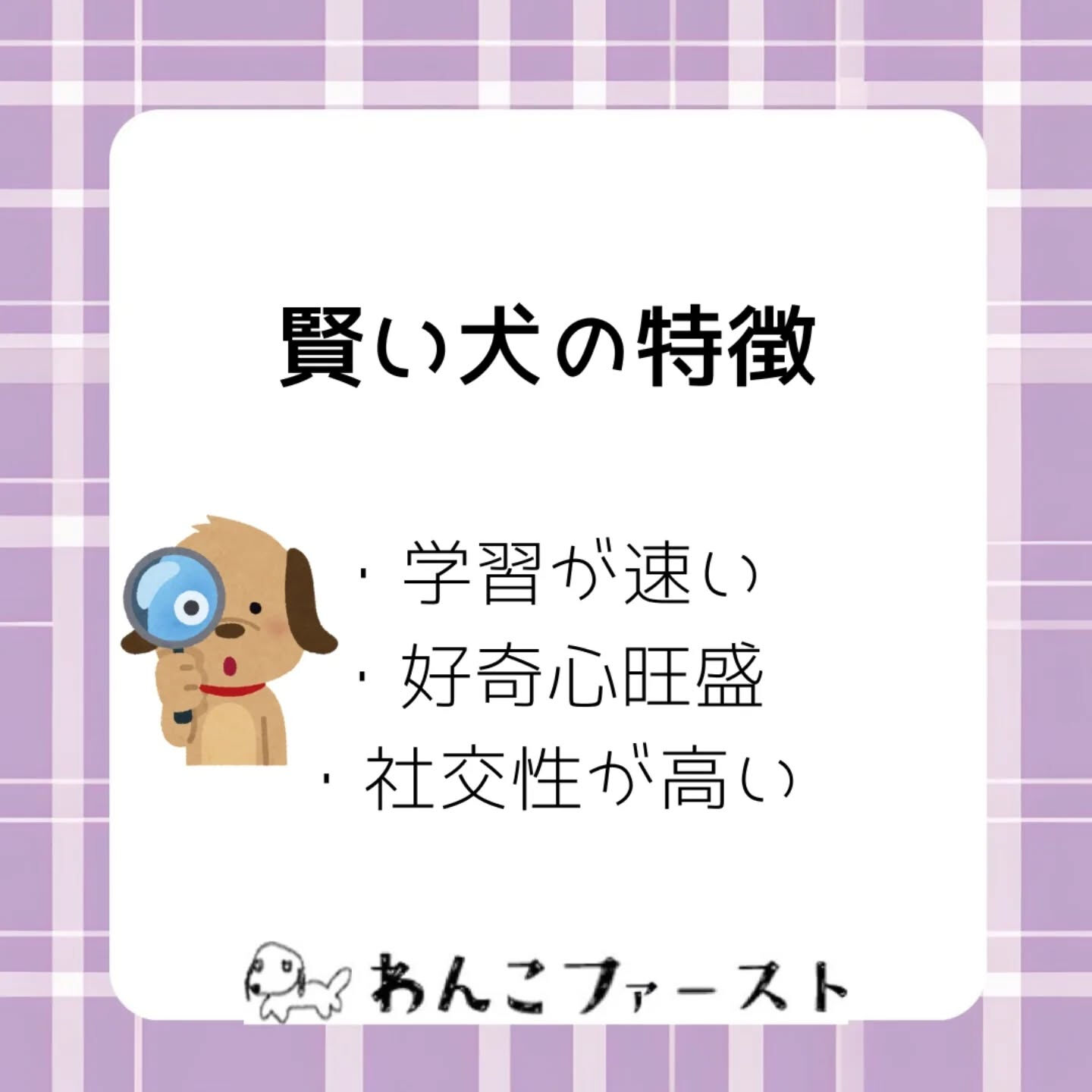 #横浜市青葉区ペットシッター