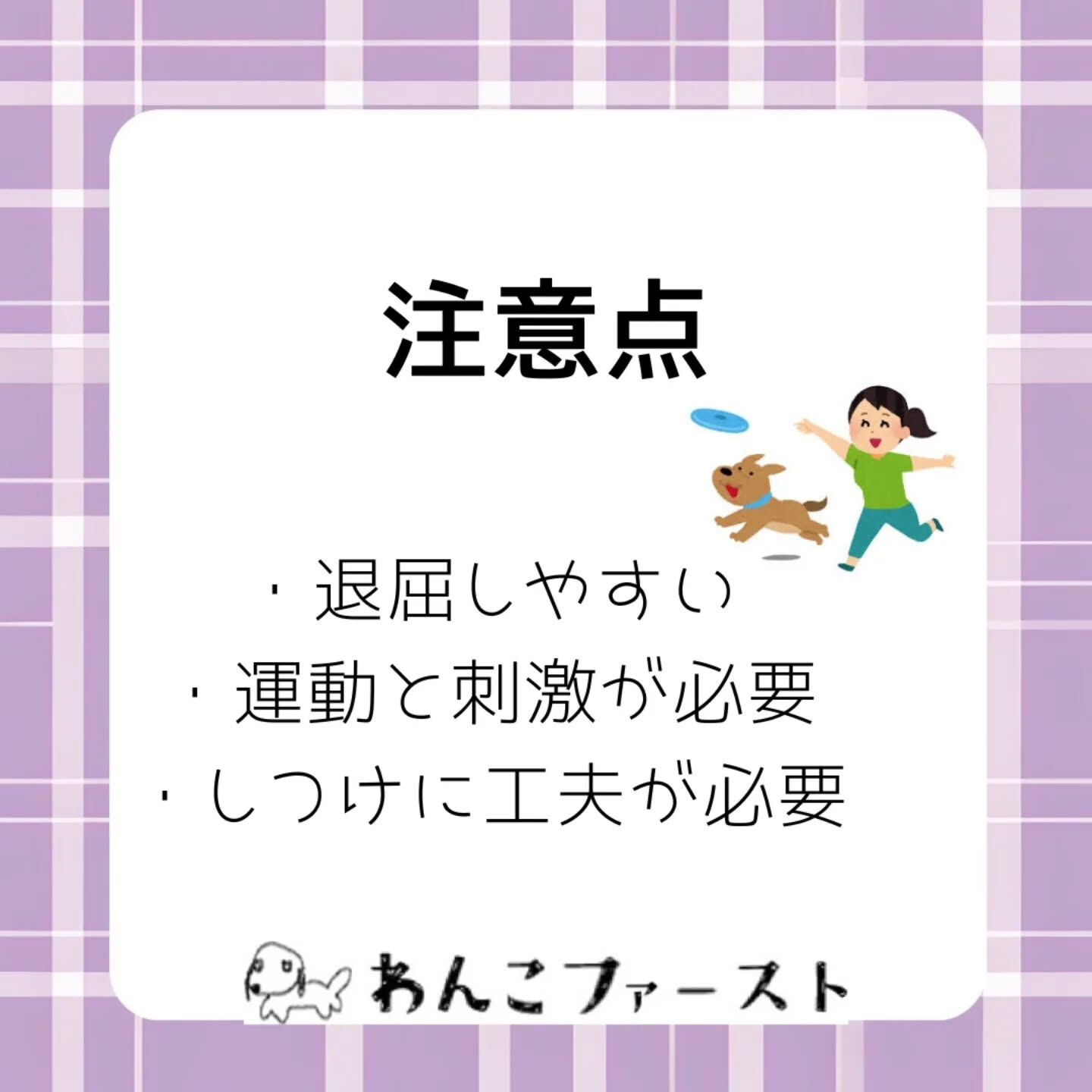 #横浜市青葉区ペットシッター