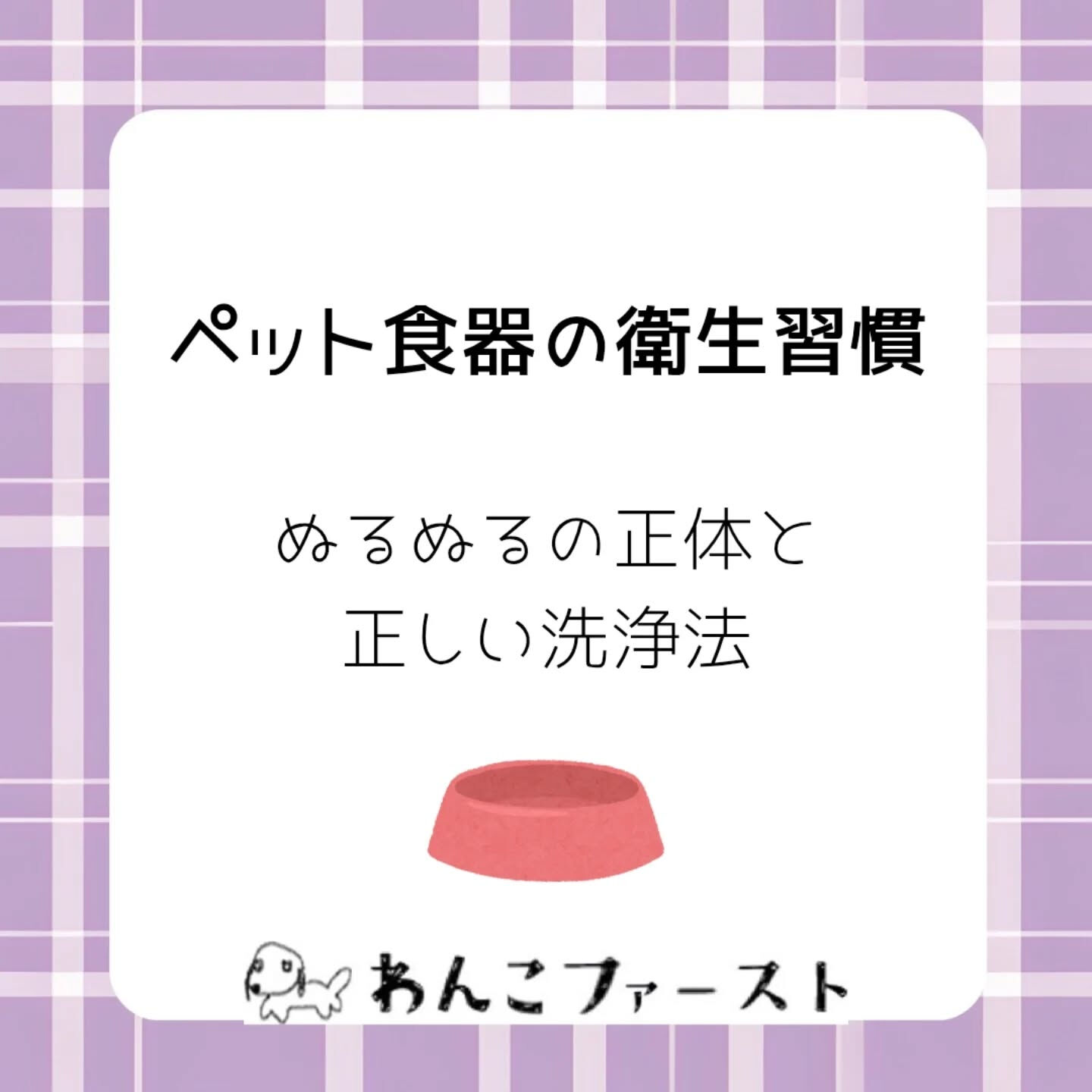 横浜市青葉区のペットシッターわんこファーストです♪