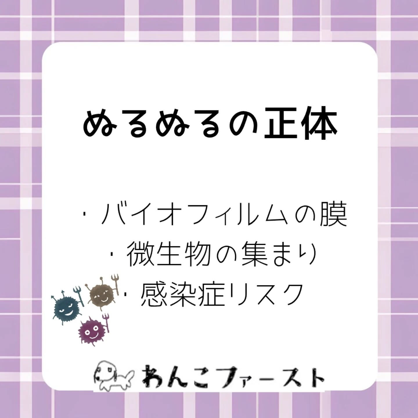 横浜市青葉区のペットシッターわんこファーストです♪