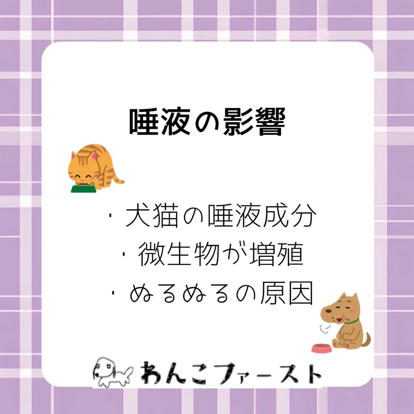 横浜市青葉区のペットシッターわんこファーストです♪